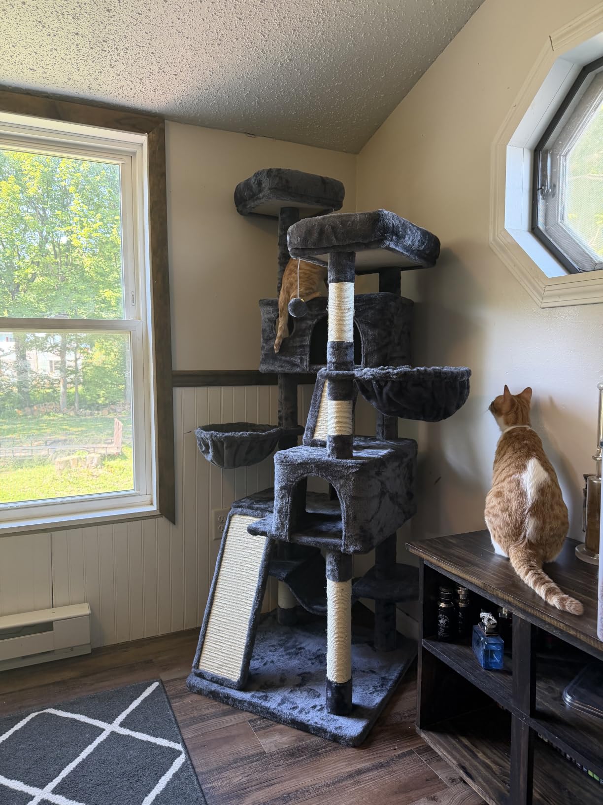 SHA CERLIN 65in Larger Cat Tree Tower Condo for Indoor Kitties, Multi-Level Activity Center with Wide Base, Cozy Plush Cat Perches, Sisal Scratching Posts and Hammock customer photo 2