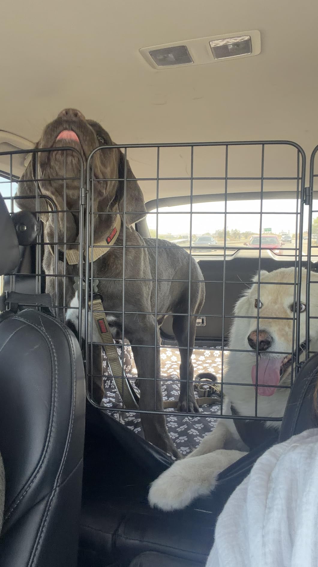 CASIMR Dog Car Barrier for SUVs, Vehicles, Trucks, Cars, Adjustable Pet Divider Cargo Area Universal-Fit, Heavy-Duty Wire Mesh Barriers, Safety Travel Accessories Cover, 61.9 Inch customer photo 2