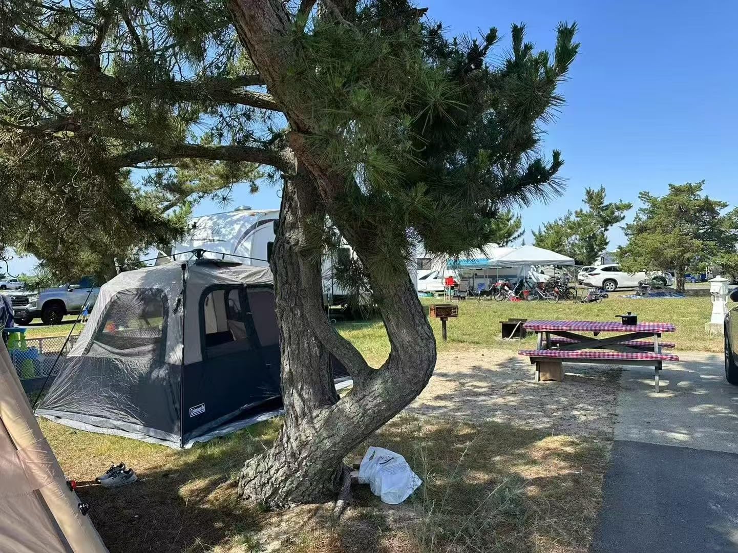 Coleman 4/6/8/10 Person Instant Camping Tent with 1-Minute Setup, Large Family Tent with Pre-Attached Poles, Air Vent, & Carry Bag customer photo 1