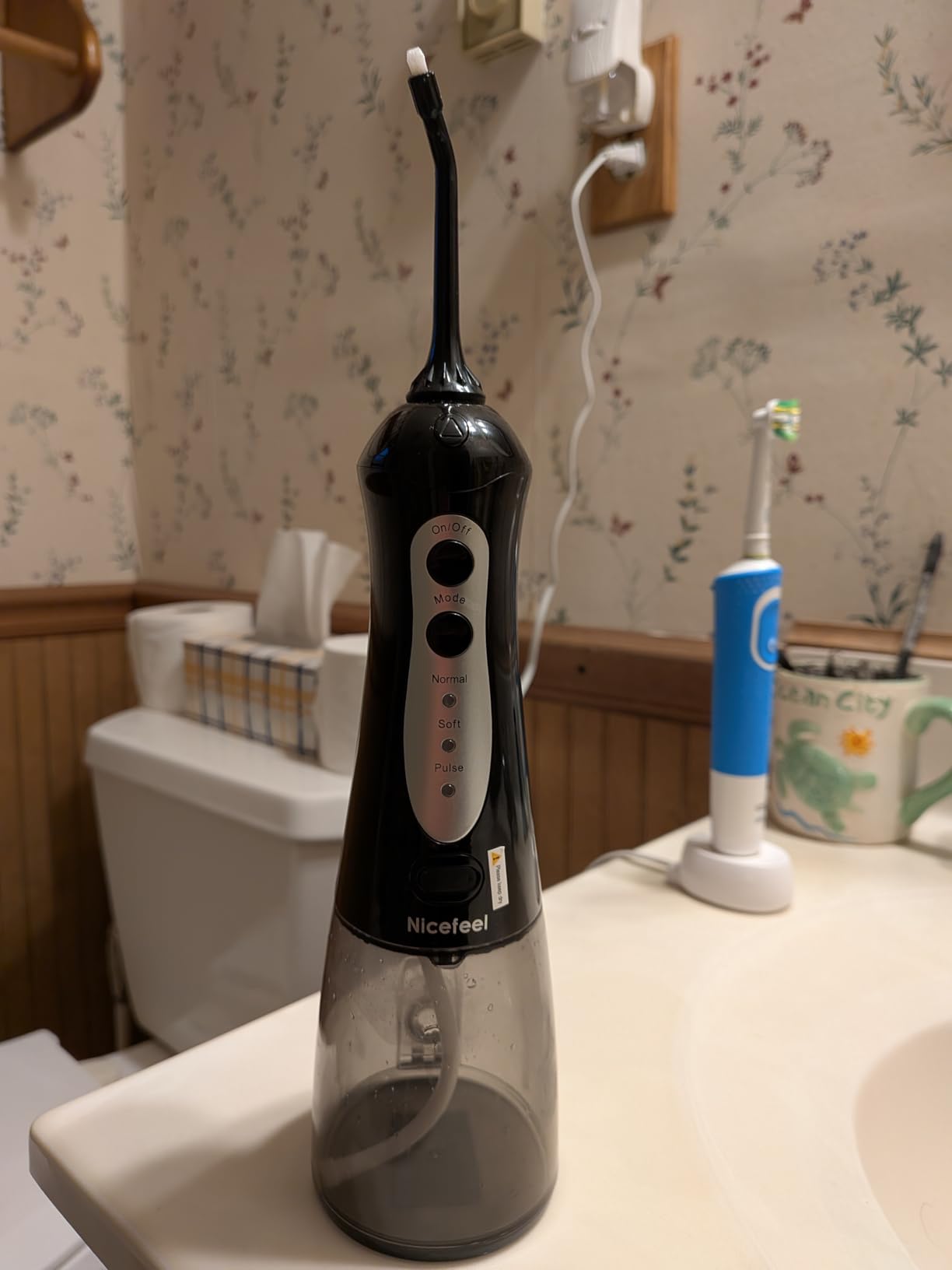 Nicefeel Water Flosser, Cordless Water Dental Pick for Teeth, Braces, Orthodontic, Gum, Portable Water Flosser for Travel & Home with 5 Jet Tips & 3 Modes, 300ml Water Tank, IPX7 Waterproof customer photo 1
