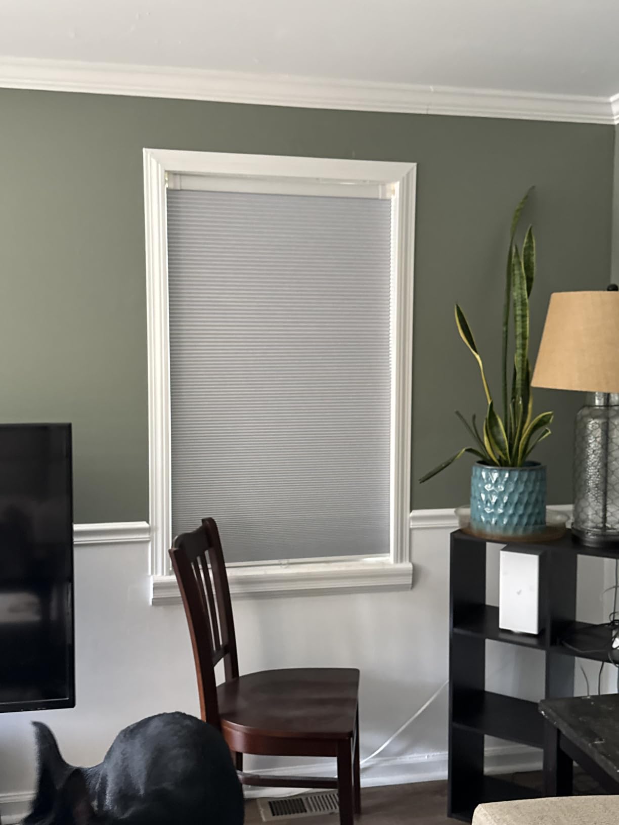 LazBlinds No Drill Cordless Cellular Shades, 33