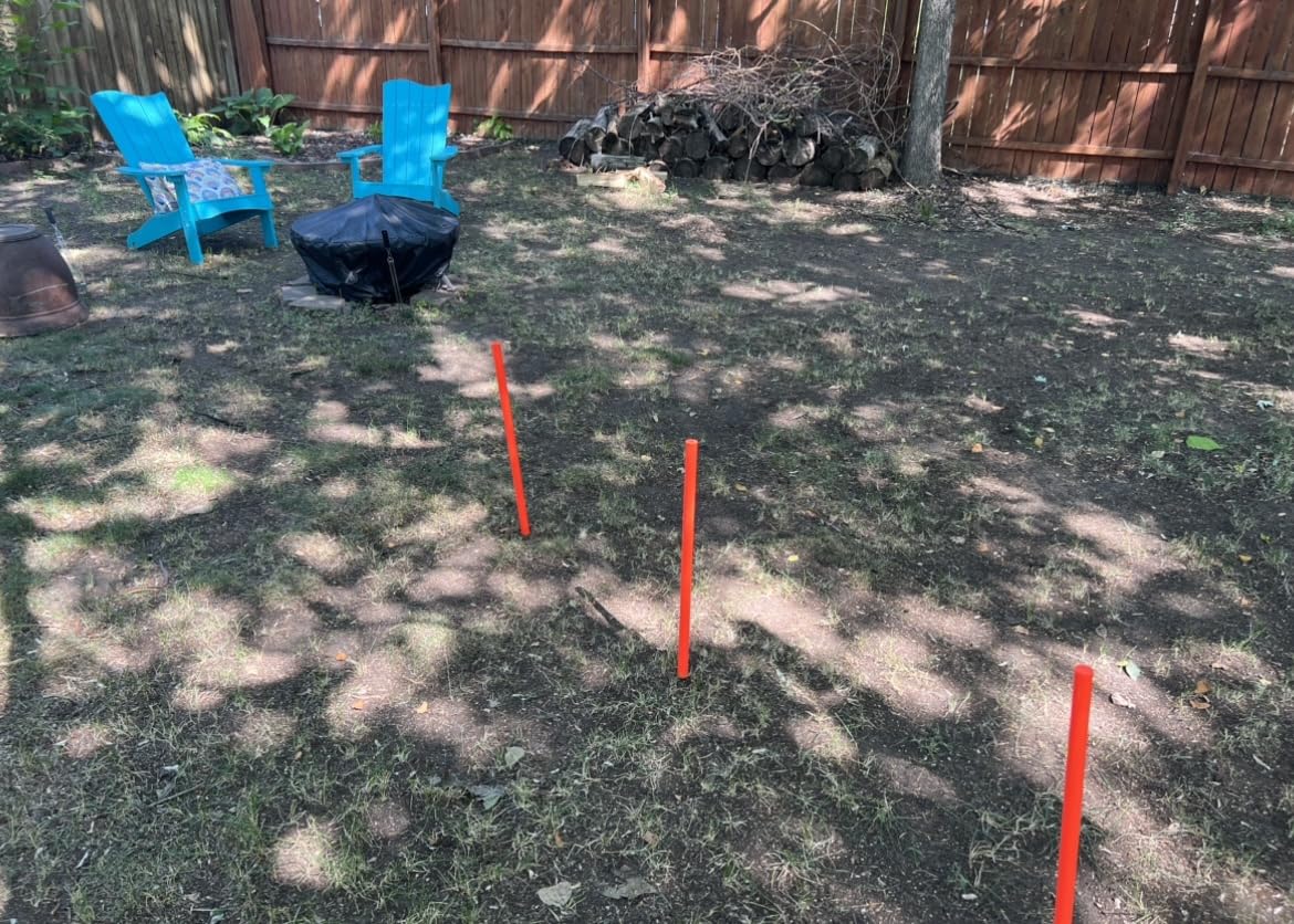 XiaZ Dog Agility Course Backyard Set, Dog Obstacle Course Training Starter Kit with Tunnel, Agility Hurdle, Weave Poles, Jump Ring, Pause Box customer photo 1