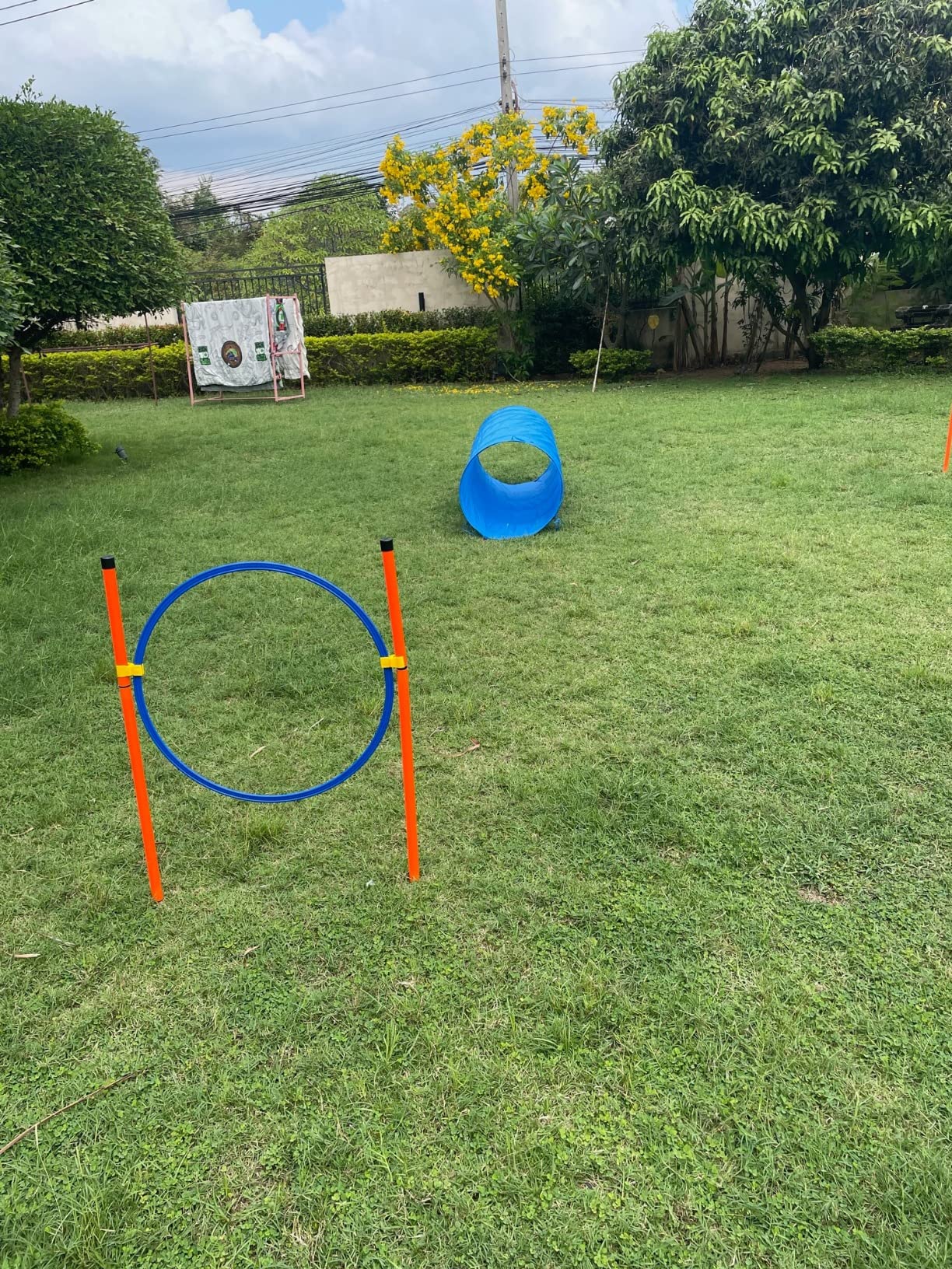 XiaZ Dog Agility Course Backyard Set, Dog Obstacle Course Training Starter Kit with Tunnel, Agility Hurdle, Weave Poles, Jump Ring, Pause Box customer photo 2