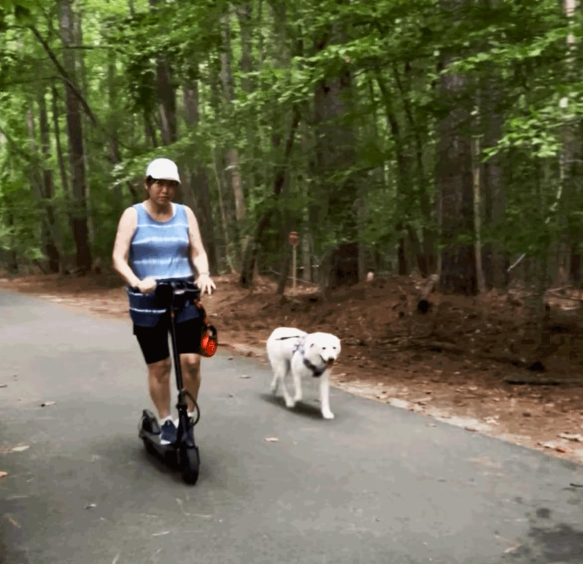 iScooter Electric Scooter for Adults, Foldable E-Scooter for Commuting with Cruise Control, Smart App, Dual Braking, LED Lights, and Easy Folding customer photo 2