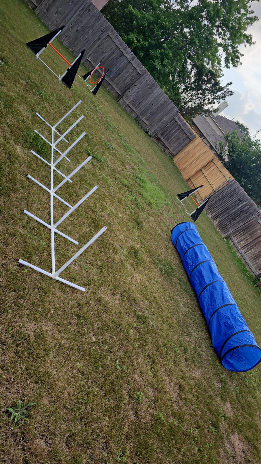 POPMOON Agility Training Equipment for Dogs, 13 PCS Dog Agility Equipment | Backyard & Indoor Training Professional Agility Course for Dogs with Adjustable Jumps, Collapsible Tunnel, Ball, Storage Bags customer photo 1