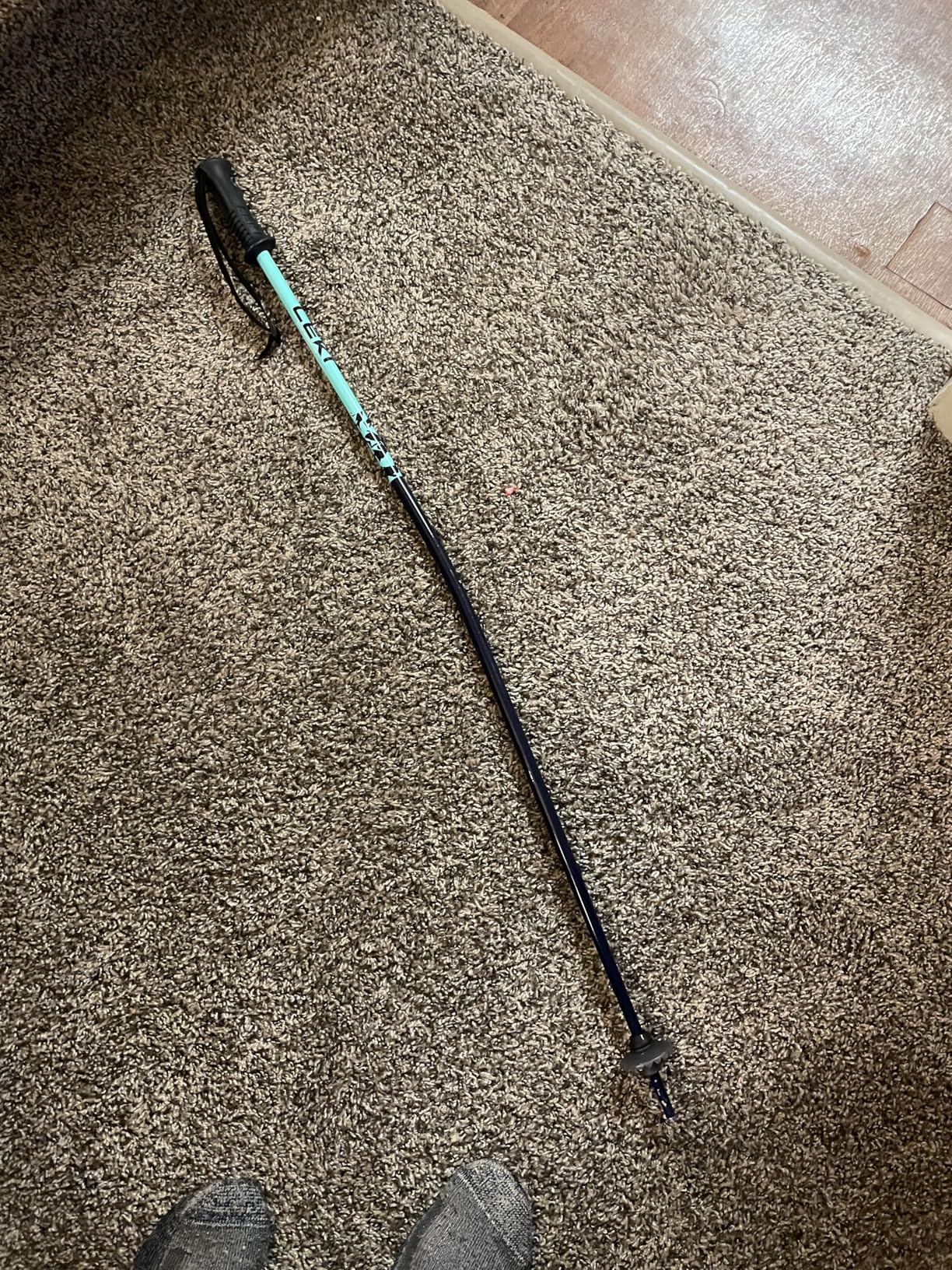 LEKI Kids' Rider Ski Poles | Lightweight, Aluminum, For Downhill Skiing customer photo 1