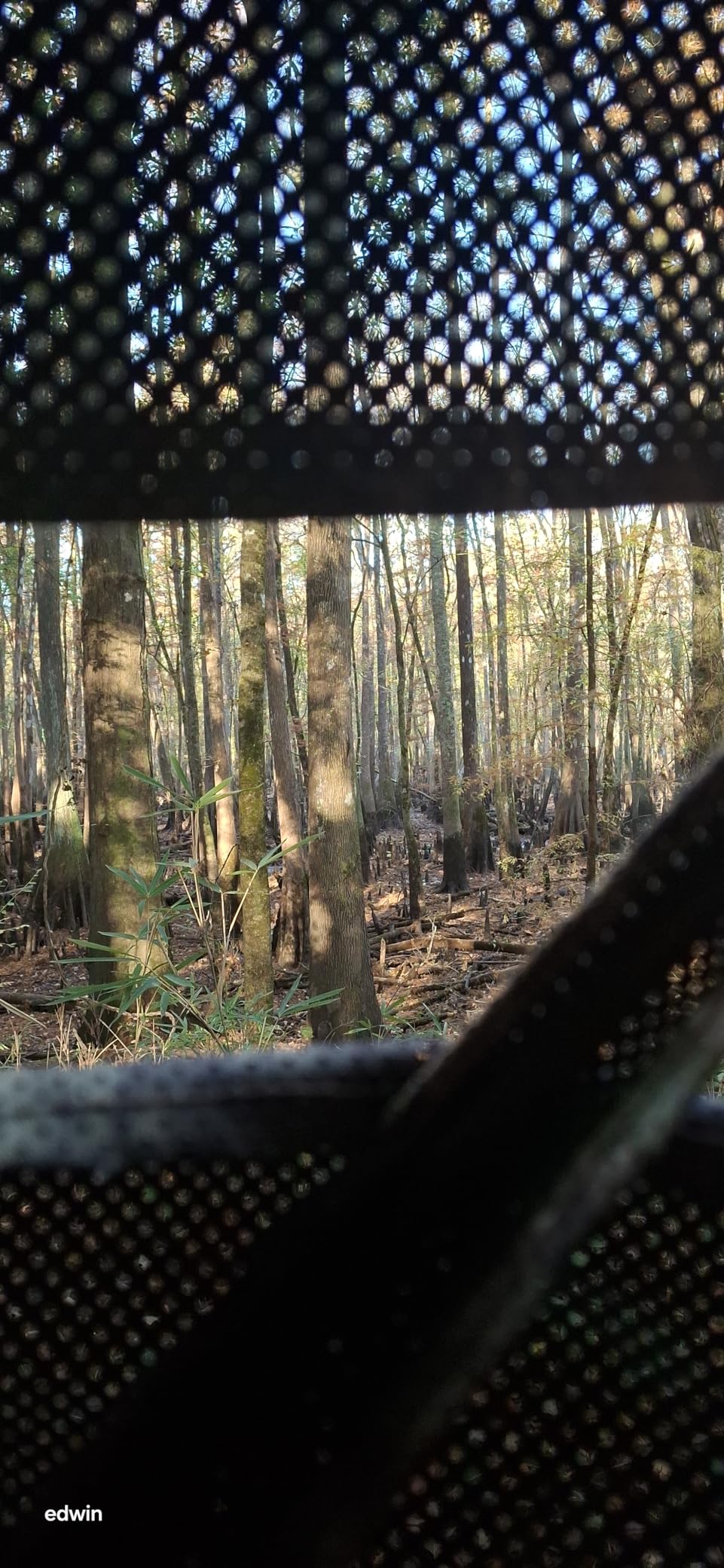 TIDEWE Hunting Blind 270° Full See Through with Windproof Curtain, Silent Magnetic Door & Sliding Windows, Pop Up Ground Blind with Carrying Bag, 300D Portable Tent customer photo 2