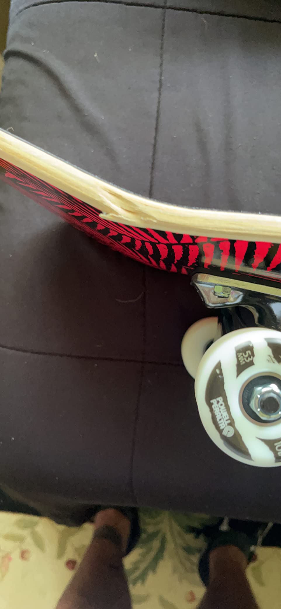 Powell Peralta Mike Vallely Elephant Complete Skateboards customer photo 1