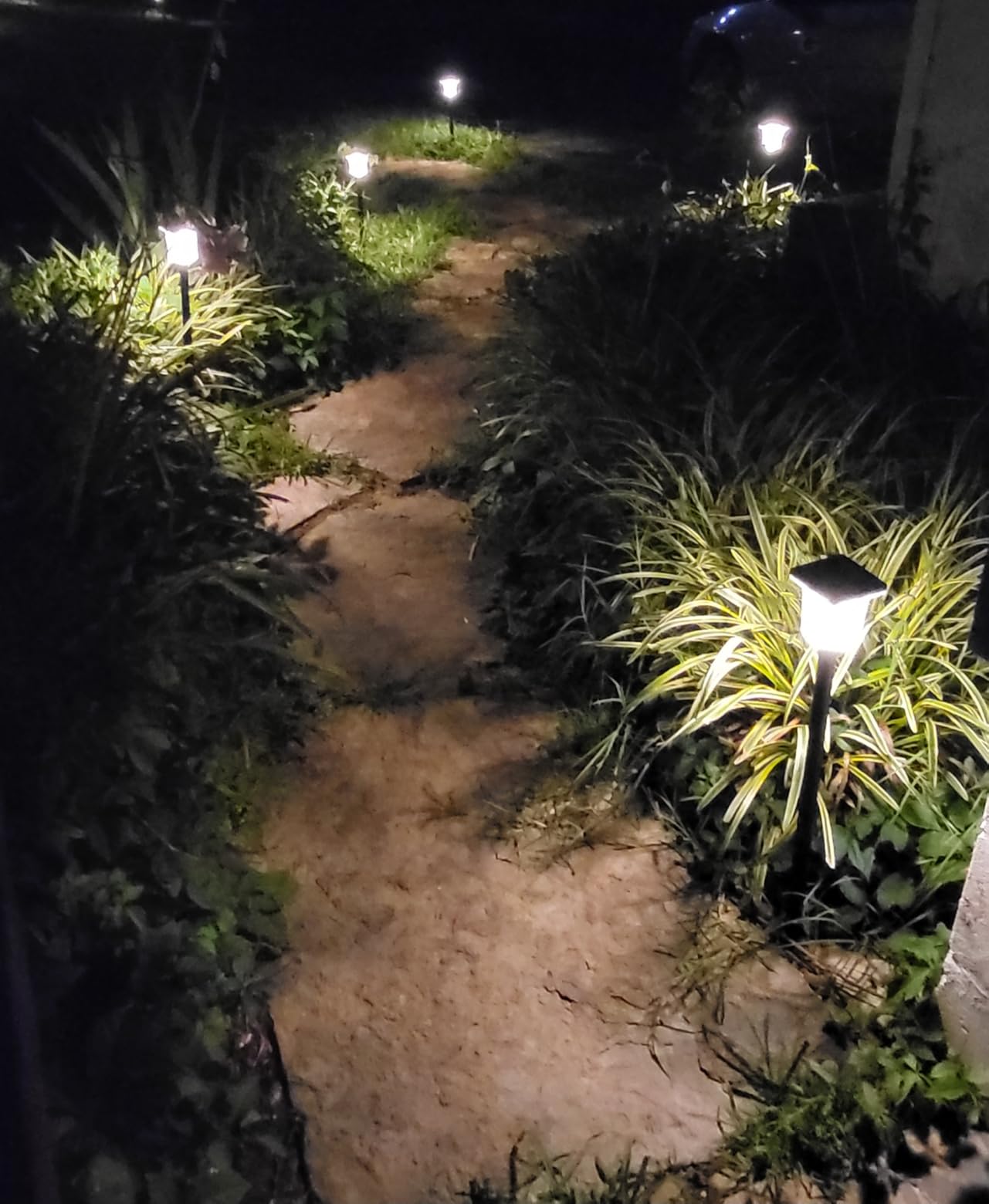 12-Pack Super Bright Solar Pathway Lights Outdoor Powered, Adjustable Warm & Cool White, Waterproof IP65 Solar Garden Decor Landscape Lighting Outside for Front Yard/Patio/Walkway/Driveway/Lawn/Path Light customer photo 1