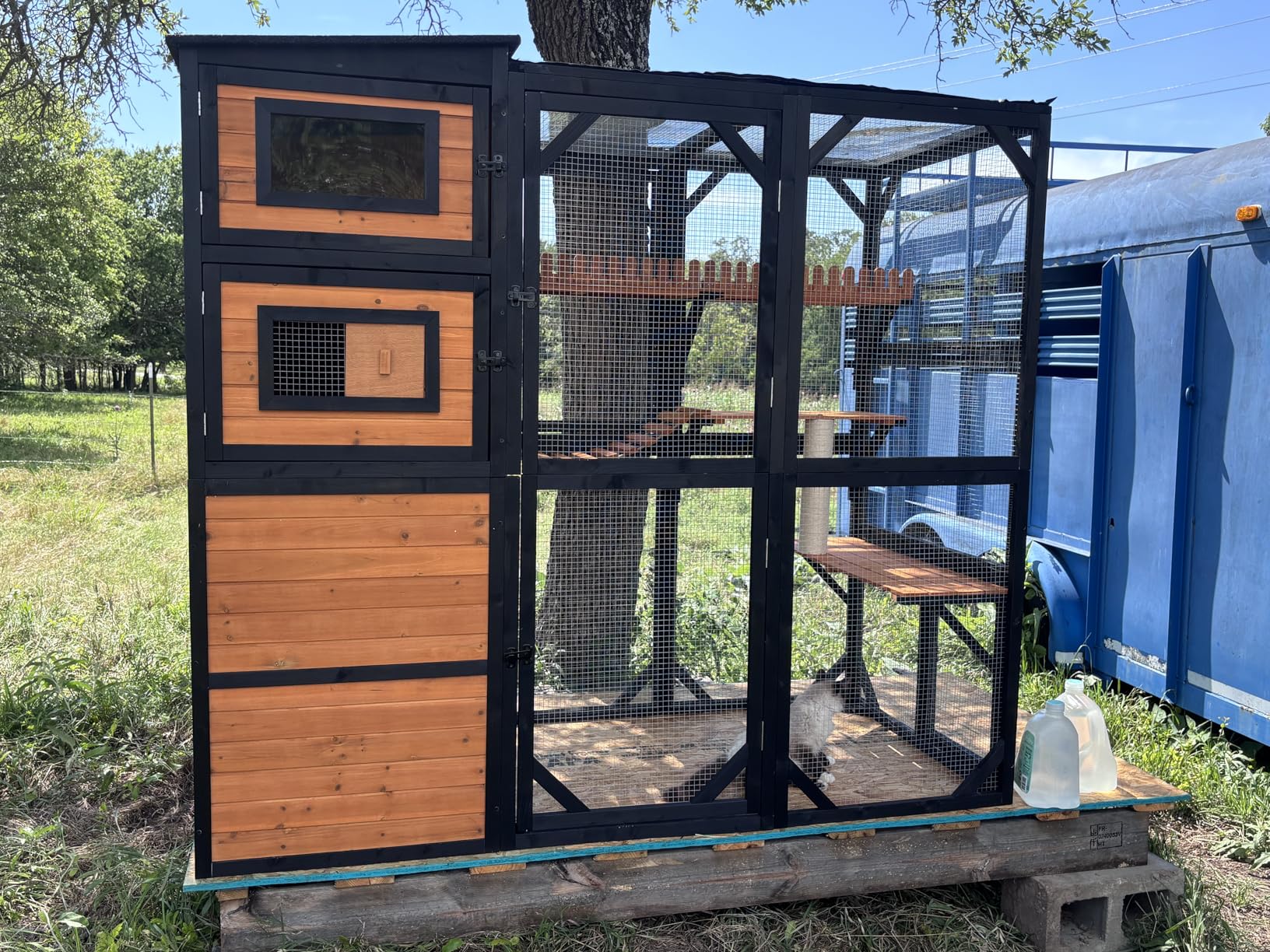 Large Wooden Catio Outdoor Cat Enclosure with 4-Tier Design | 4 Platforms, Scratching Post, Bridge, Weatherproof Roof, Window Connection Design customer photo 1