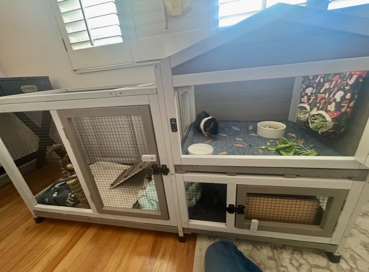 2 Story Rabbit Hutch Outdoor Indoor, Wooden Bunny Cage with 6 Lockable Wheels, 3 Removable Pull Out Trays customer photo 1