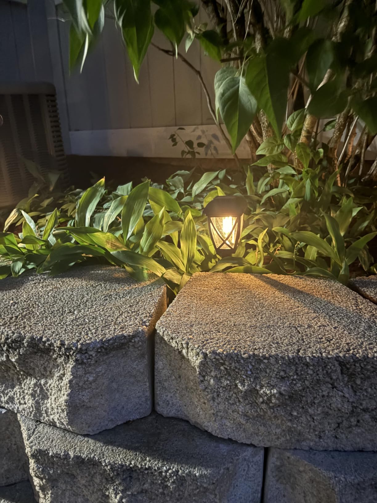 Solar Pathway Lights Outdoor 10 Pack, Warm White | Auto On/Off Waterproof Energy Saving LED Landscape Outside Lights for Garden Yard, Walkway, Driveway Decor customer photo 2