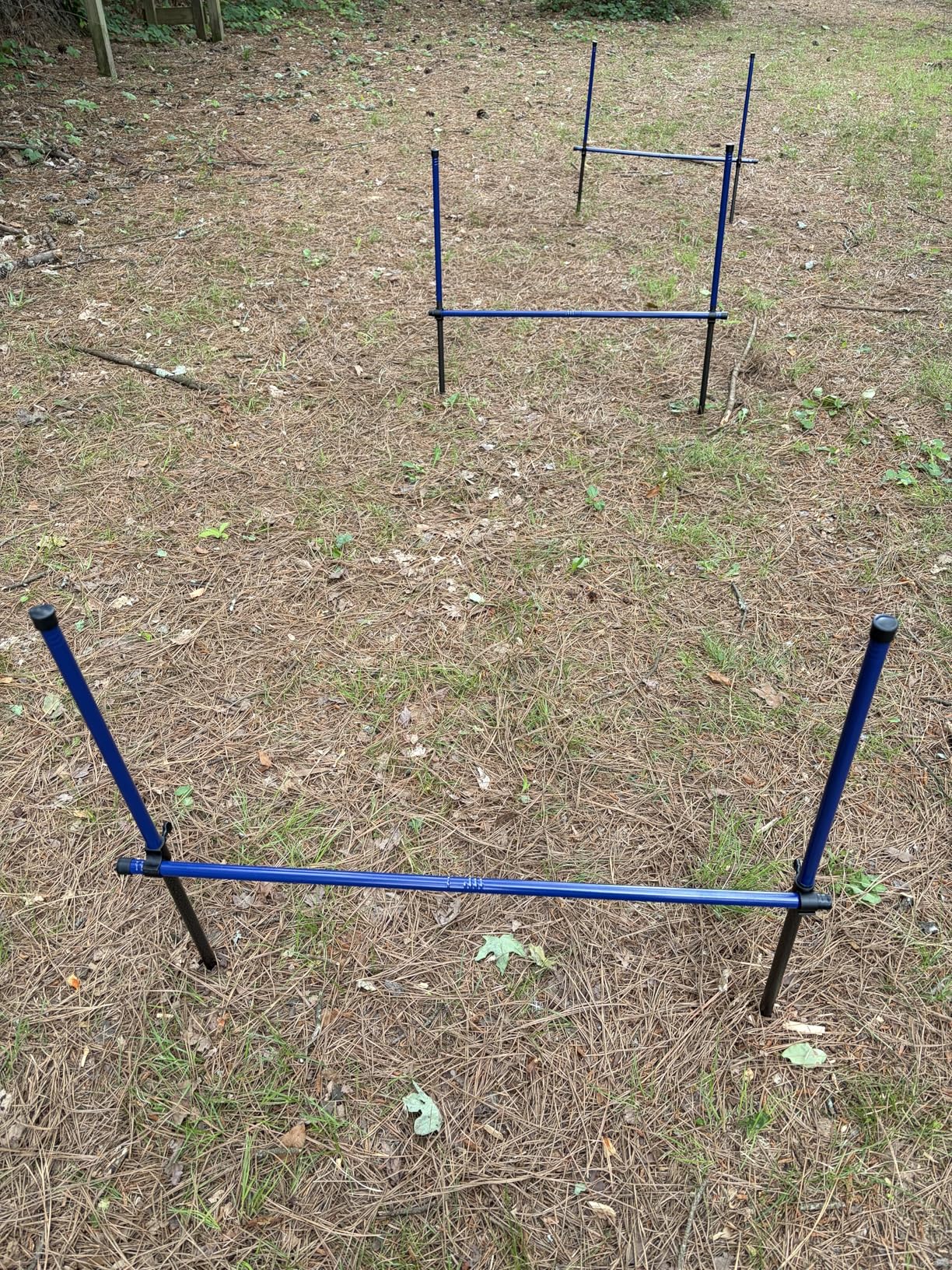 Dog Agility Course Backyard Set, Metal Dog Agility Training Equipment Adjustable Height Obstacle Course for Dog Hurdles Jumps (3 Pack) customer photo 2