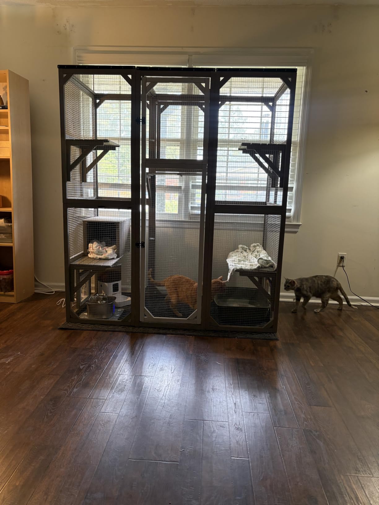 Catio Outdoor Cat Enclosure Large Walk-in Cat House with Flat Roof and Multi-Level Platforms, Cat Hammock & Litter Box Shelf, Elevated Wooden Cat Shelter for Multiple Cats, Backyard Patio Garden customer photo 1