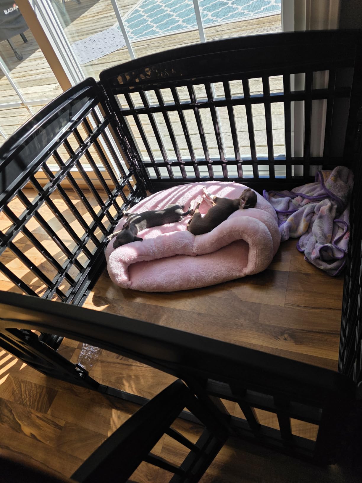 IRIS USA 8-Panel Dog Playpen, Pet Enclosure, Gray, Safe Play Zone, Configurable Layout, Multi-Shape Setup, Stable Non-Tip Base, Secure Door Latch customer photo 2