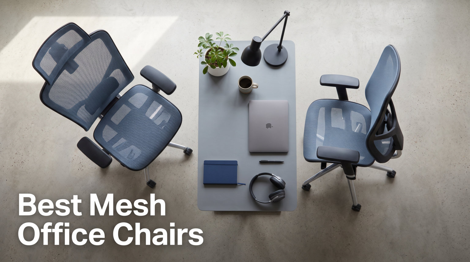 Best Mesh Office Chairs