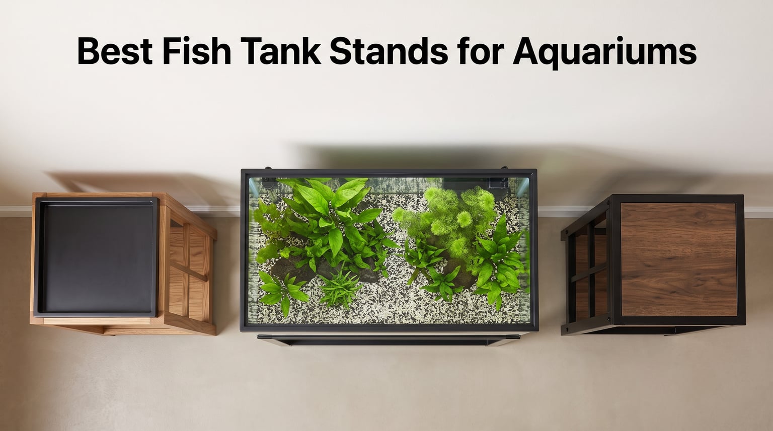 Best Fish Tank Stands for Aquariums