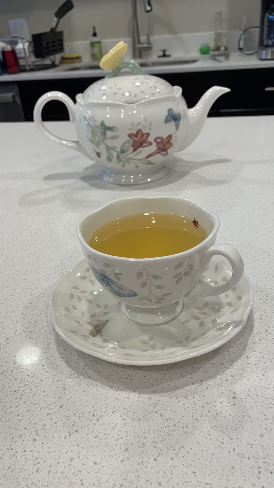 Lenox Butterfly Meadow Porcelain Teapot and Tea Cup Set, 9-Piece, 48oz | dishwasher safe | includes creamer, sugar bowl, 2 teacups, 2 saucers | floral tea party gift | gift for women customer photo 1