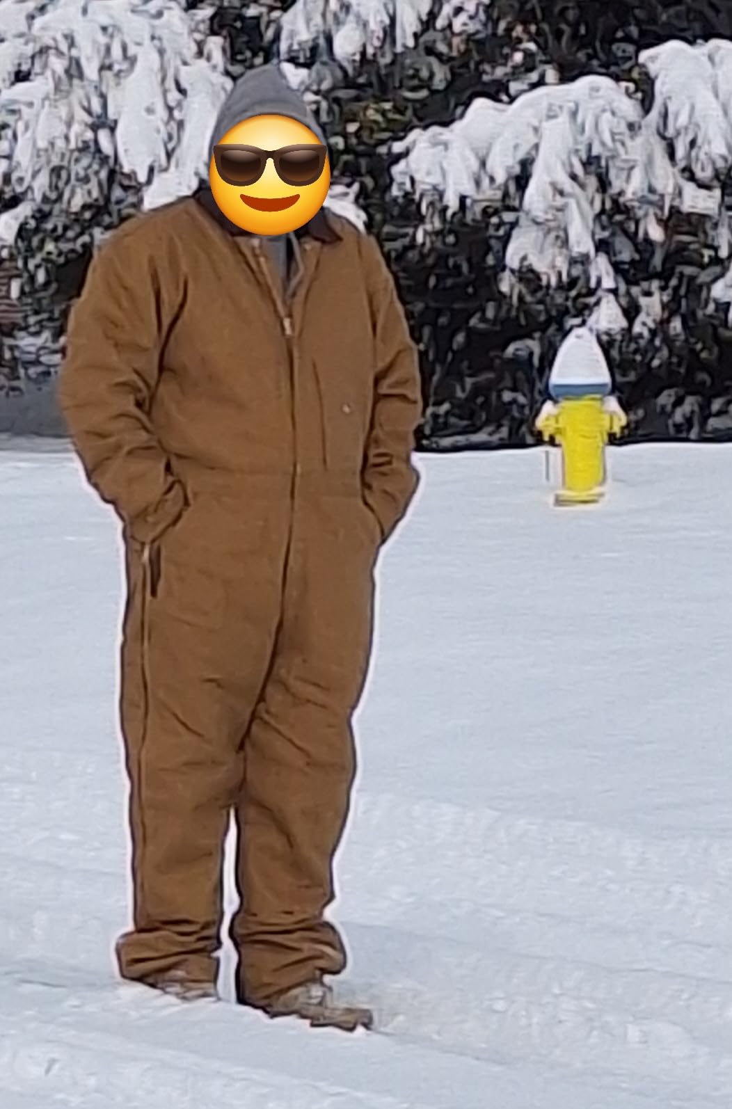 Dickies Men's Premium Insulated Duck Coverall customer photo 2