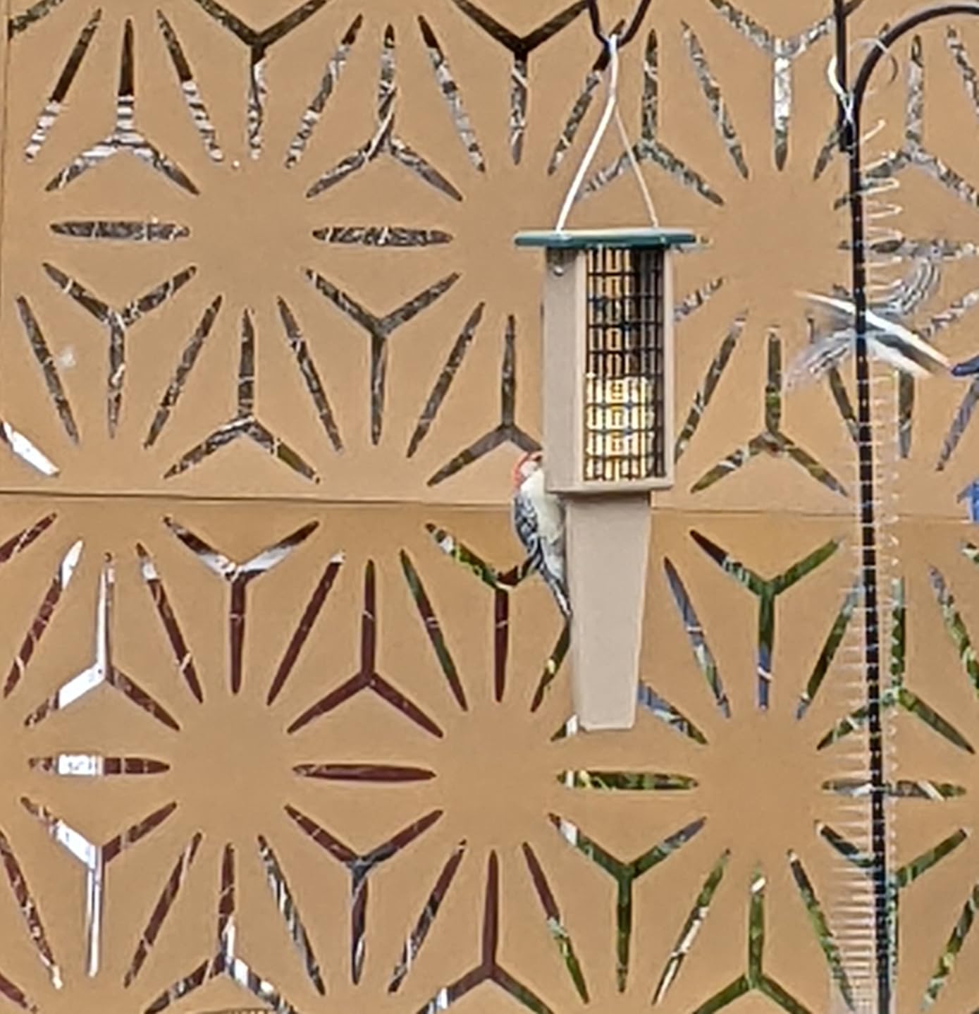 Birds Choice Pileated Suet Feeder with Tail Prop, Holds 2 Suet Cakes, Hanging Suet Bird Feeder for Woodpeckers, Jays, Nuthatches, Taupe and Green Recycled Plastic customer photo 1