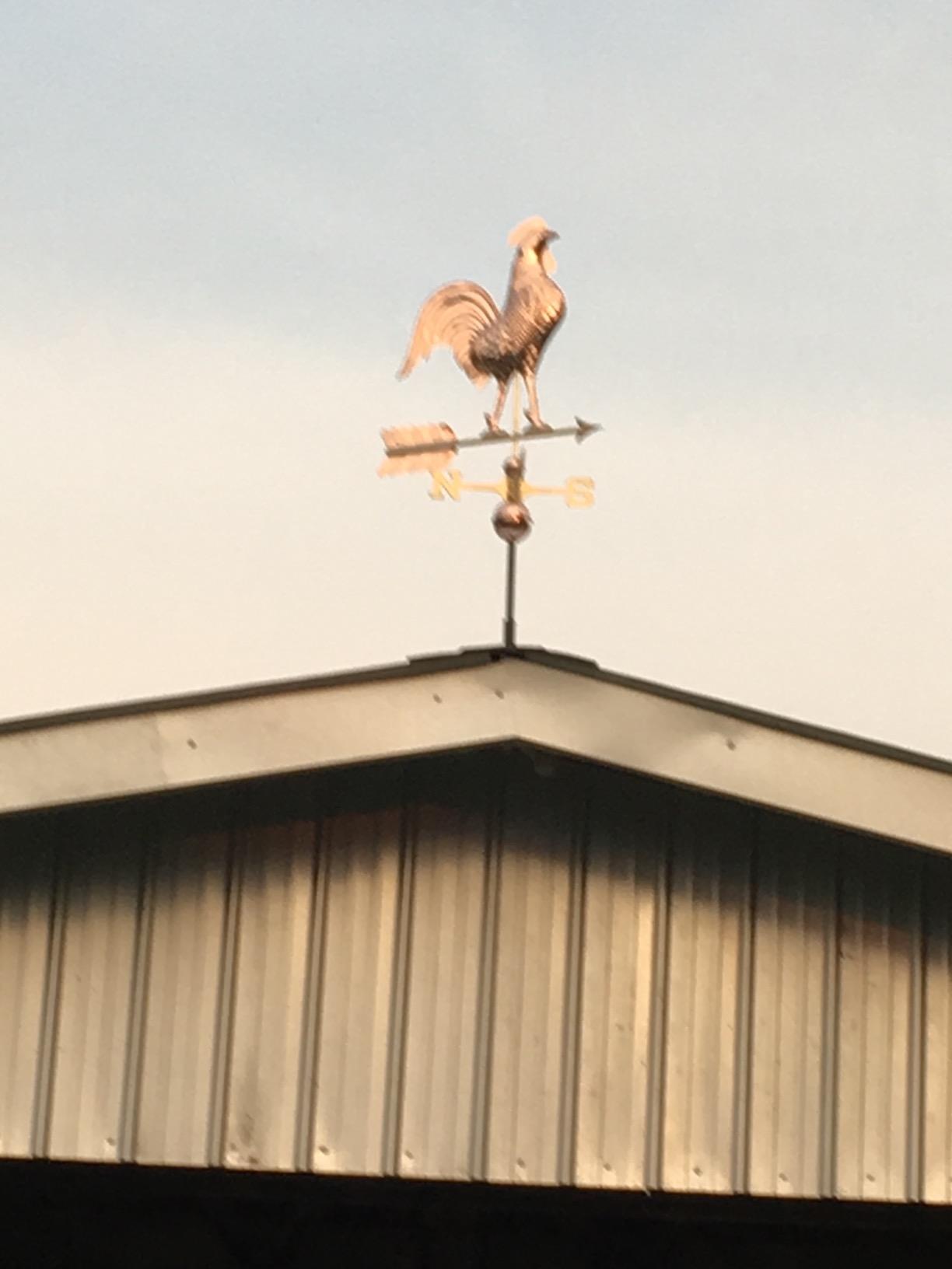 Large Rooster Weathervane - Pure Copper by Good Directions customer photo 1
