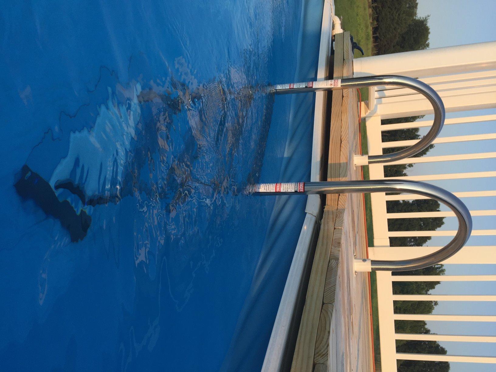 Blue Wave Premium Stainless Steel in-Pool Ladder for Above Ground Pools | 4 stainless-steel steps, resin swivel base, deck-mounted, fits pools up to 54 in, 225-lb cap, safe entry, not for saltwater customer photo 2