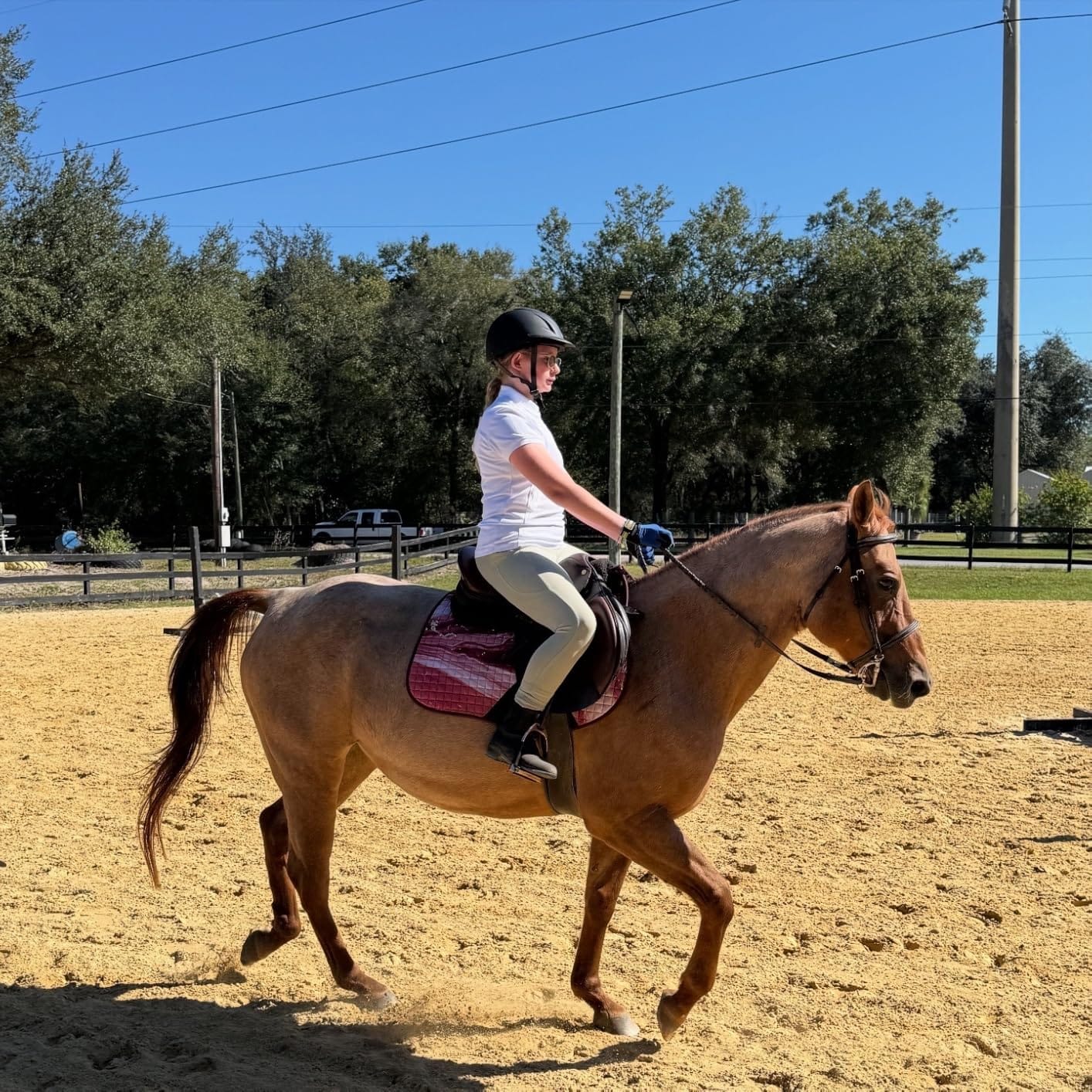 OVATION Adult Deluxe Schooler Riding Helmet - Lightweight Breathable Adjustable Equestrian Safety Helmet w/Removable Liner customer photo 2