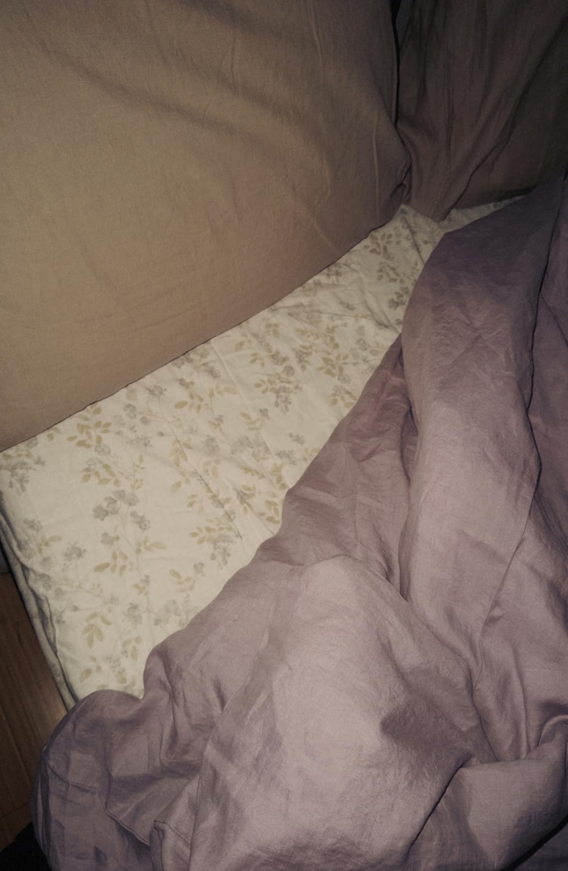 Laura Ashley - Flannel Sheets Queen Size, Anti-Pilling & Wrinkle Resistant Cotton, Touchably Soft for All-Season Comfort - Bed Sheets with Matching Pillowcases & Fitted Sheet (Victoria Beige) customer photo 1