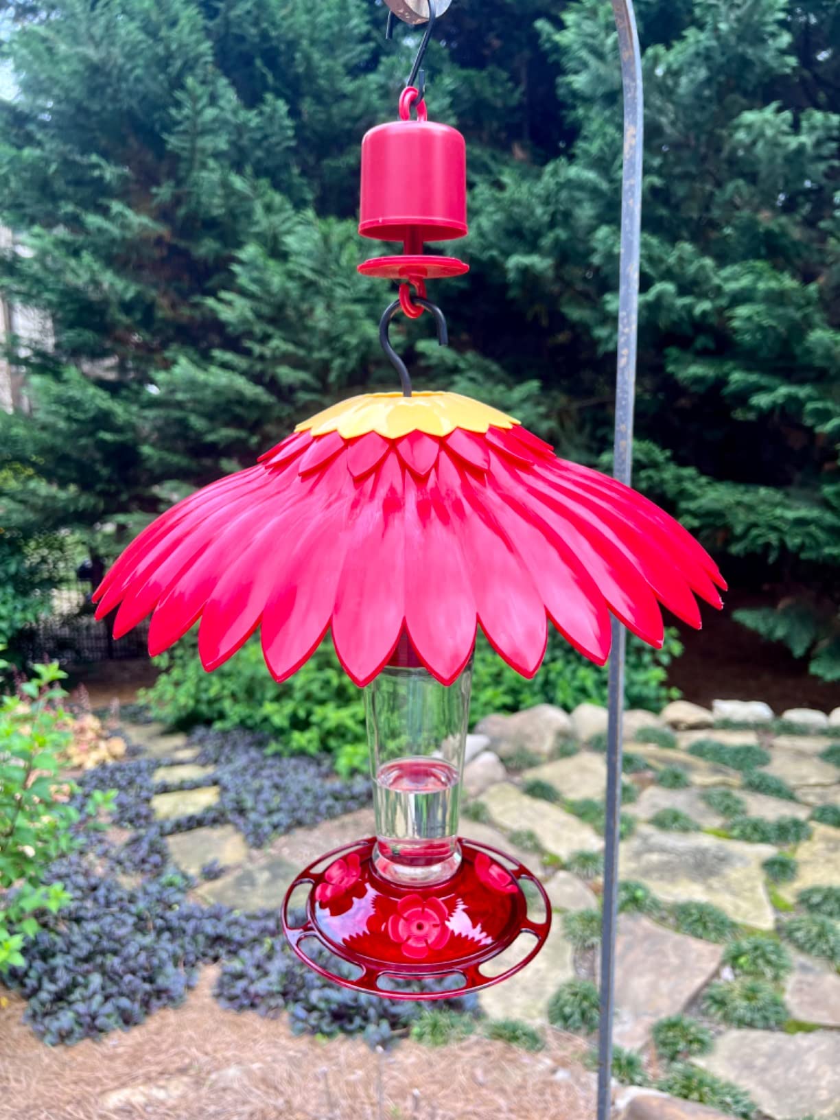 More Birds Bird Health+ Ruby Hummingbird Feeder, Glass Hummingbird Feeders for Outdoors, 4 Feeding Stations, 10 Ounces, Ruby Red customer photo 2