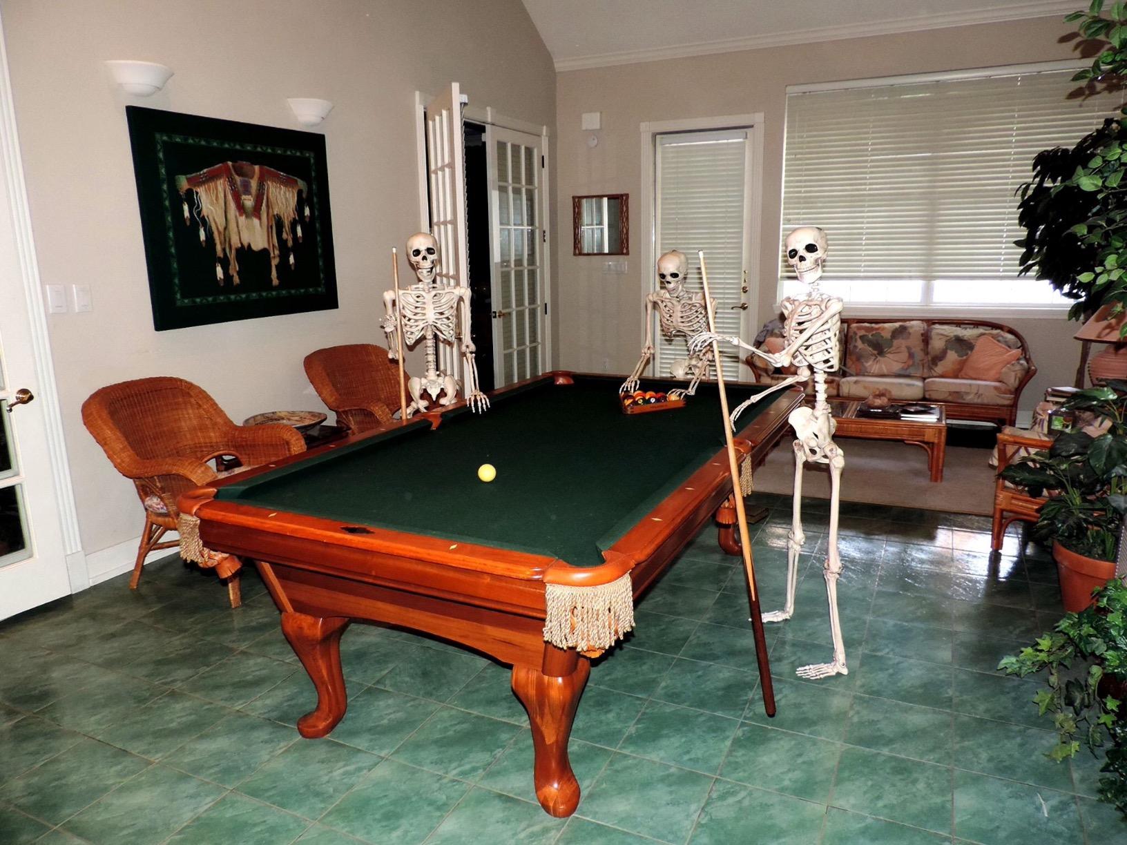 Crazy Bonez Original Pose-N-Stay Halloween Skeleton, 5 FT - Life-Size | Realistic, Fully Poseable Indoor & Outdoor Decoration, Durable Plastic Spooky Prop for Yard, Porch, Haunted House customer photo 2