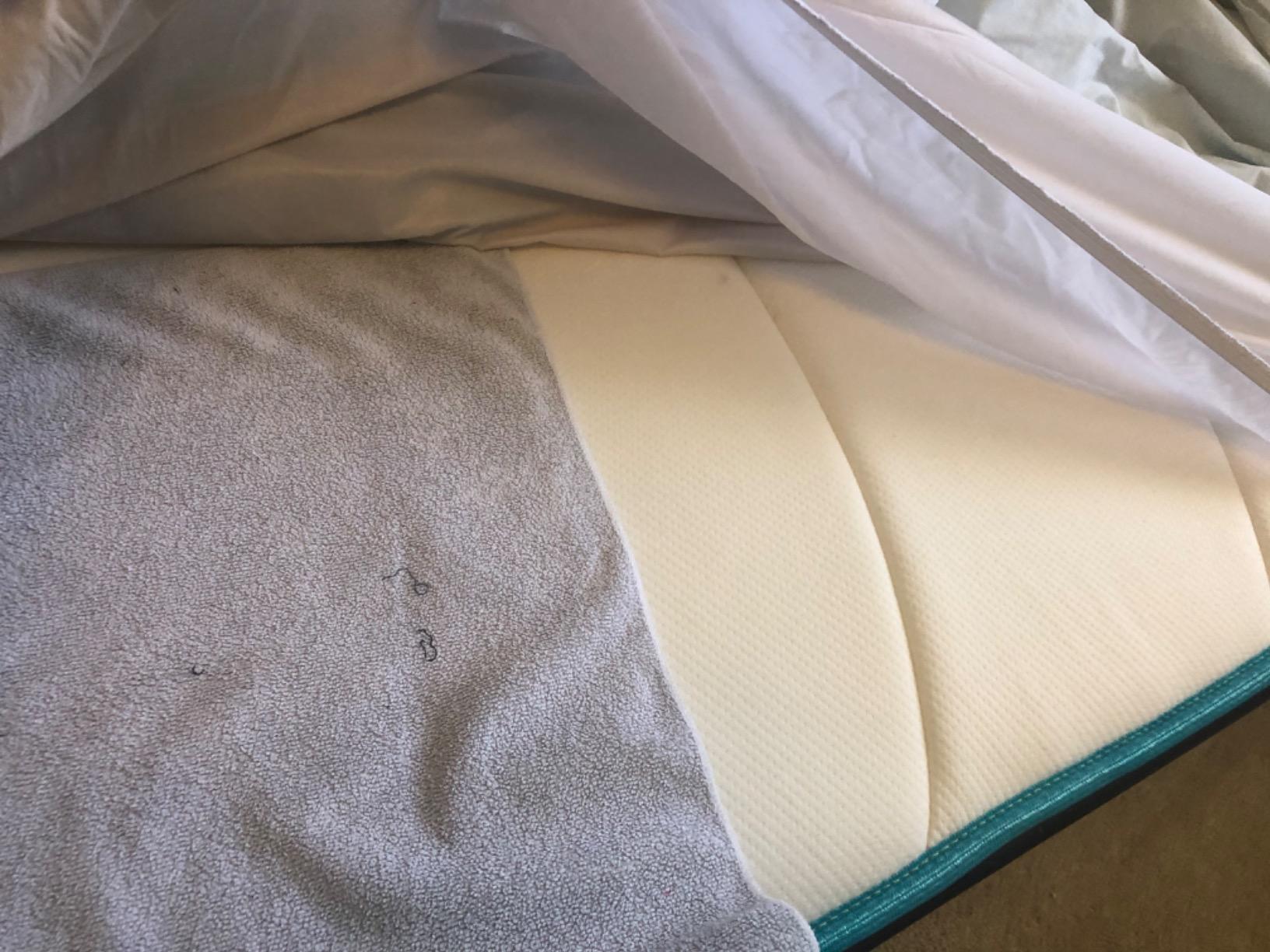 Linenspa Waterproof Mattress Protector, Queen Size - Fitted Sheet Style, Breathable, Machine Washable & Dryer Safe, White customer photo 2