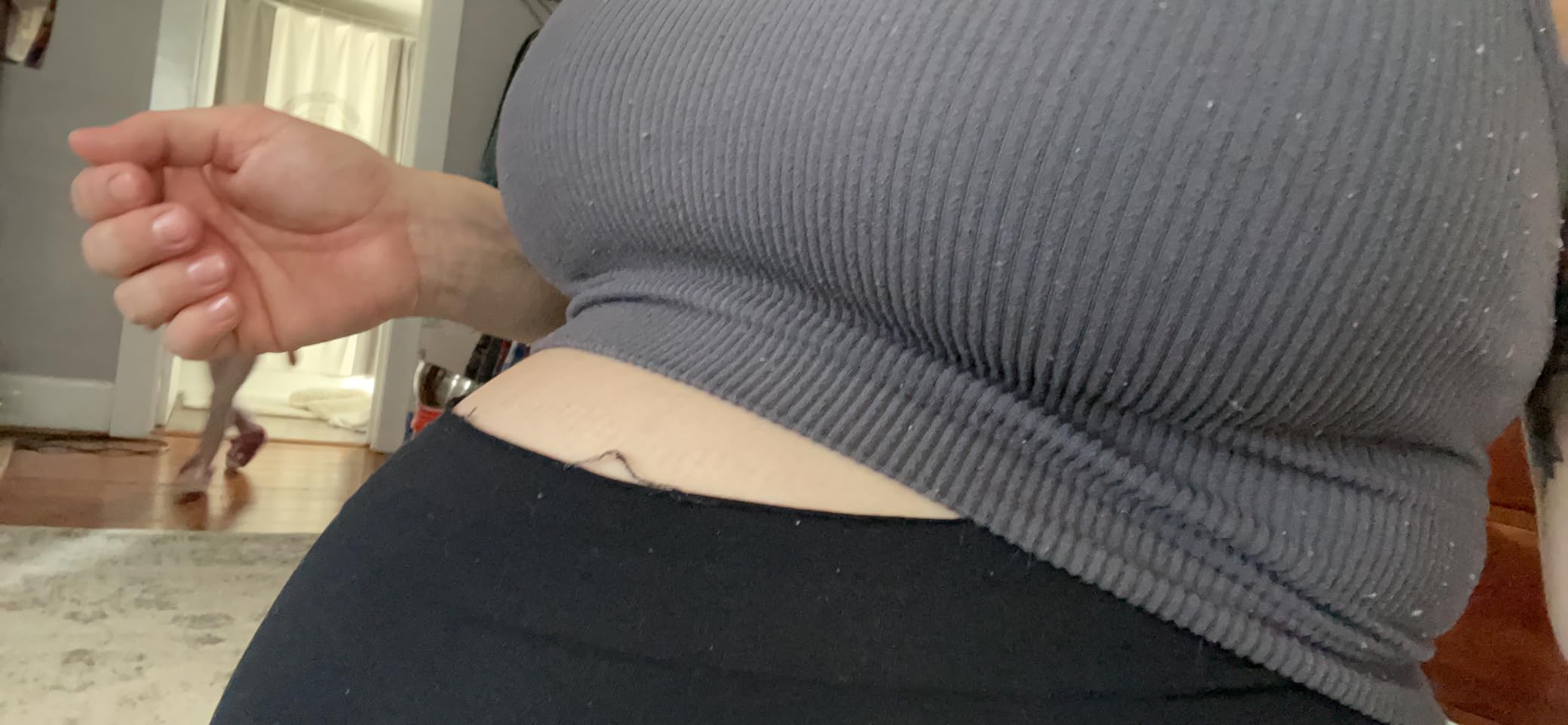 Motherhood Maternity Women's Essential Stretch Cotton Lounge Full Length Secret Fit Over the Belly Pregnancy Leggings customer photo 2