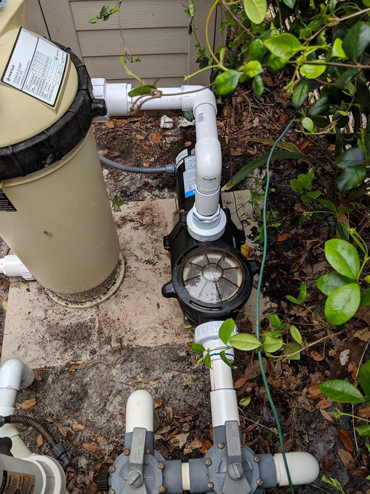 Doheny's Harris ProForce 1.5 HP Inground Pool Pump 220V ((1.35 THP)) customer photo 2