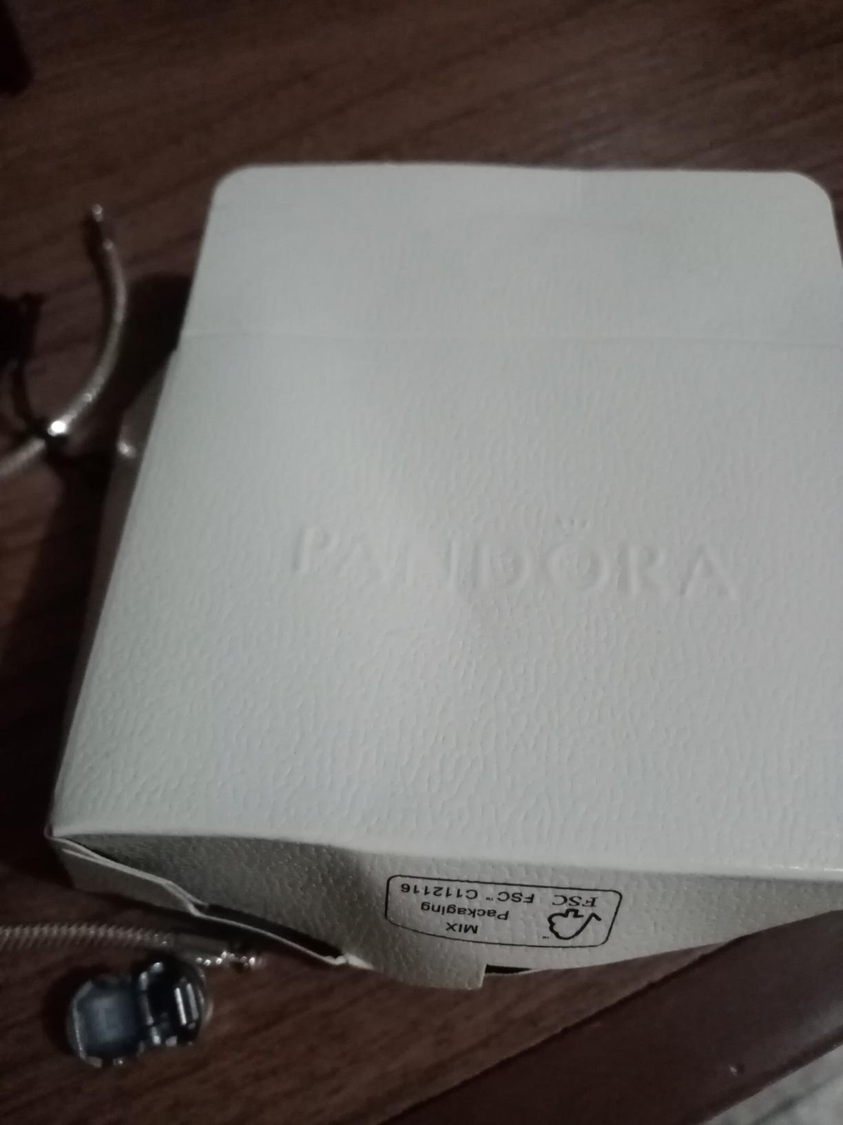 PANDORA Moments Snake Chain Bracelet, Size 20 cm customer photo 2