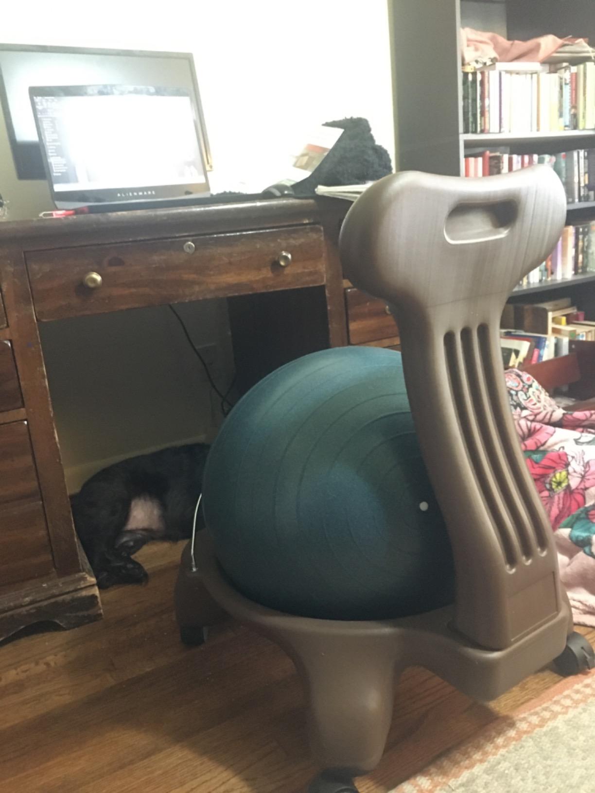 Gaiam Classic Balance Ball Chair, Stability Seat | 52cm stability ball chair builds core strength while you sit. Includes pump & exercise guide. customer photo 1