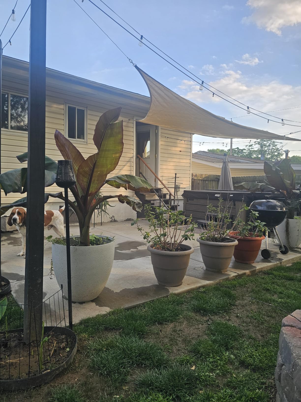 Shade&Beyond Triangle Sun Shade Sail 16'X16'X16' Permeable Canopy Sand for Patio Garden Yard Deck Pergola (We Make Custom Size) customer photo 2