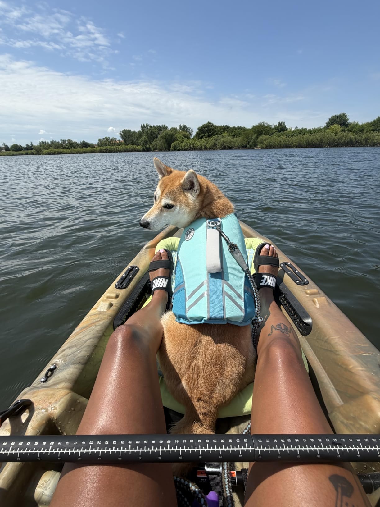 VIVAGLORY Dog Life Vest Sports Style Dog Swim Vest, M, Blue customer photo 1