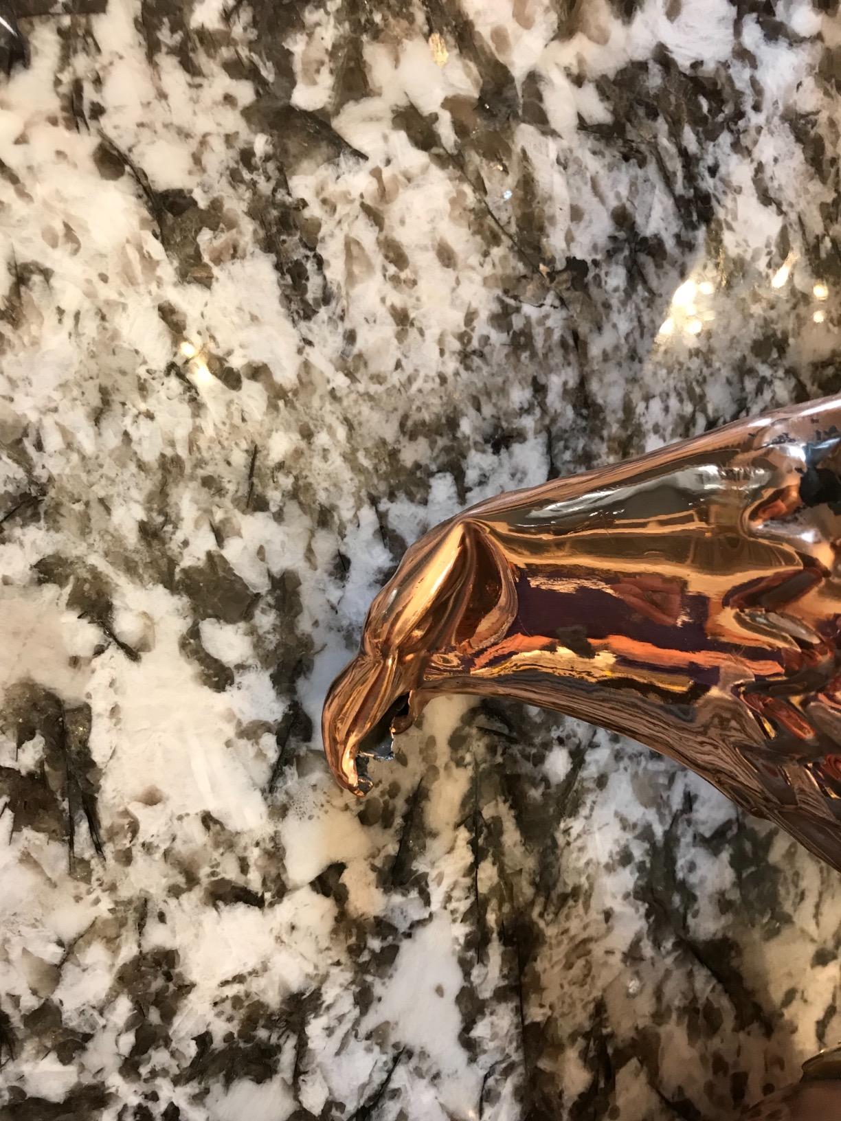 Good Directions Polished Copper Eagle Weathervane - Decorative Rooftop Accent for Barns, Homes, Sheds, and Cupolas - Durable & Handcrafted customer photo 1