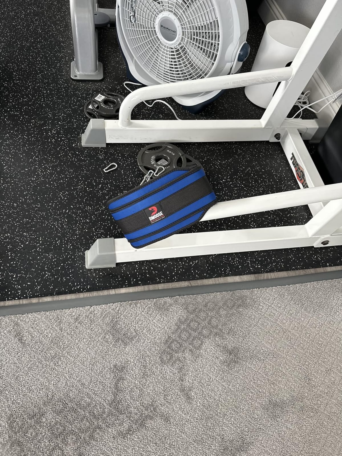 DMoose Fitness Dip Belt for Weight Lifting, Pullup, Squats & Dips - 36