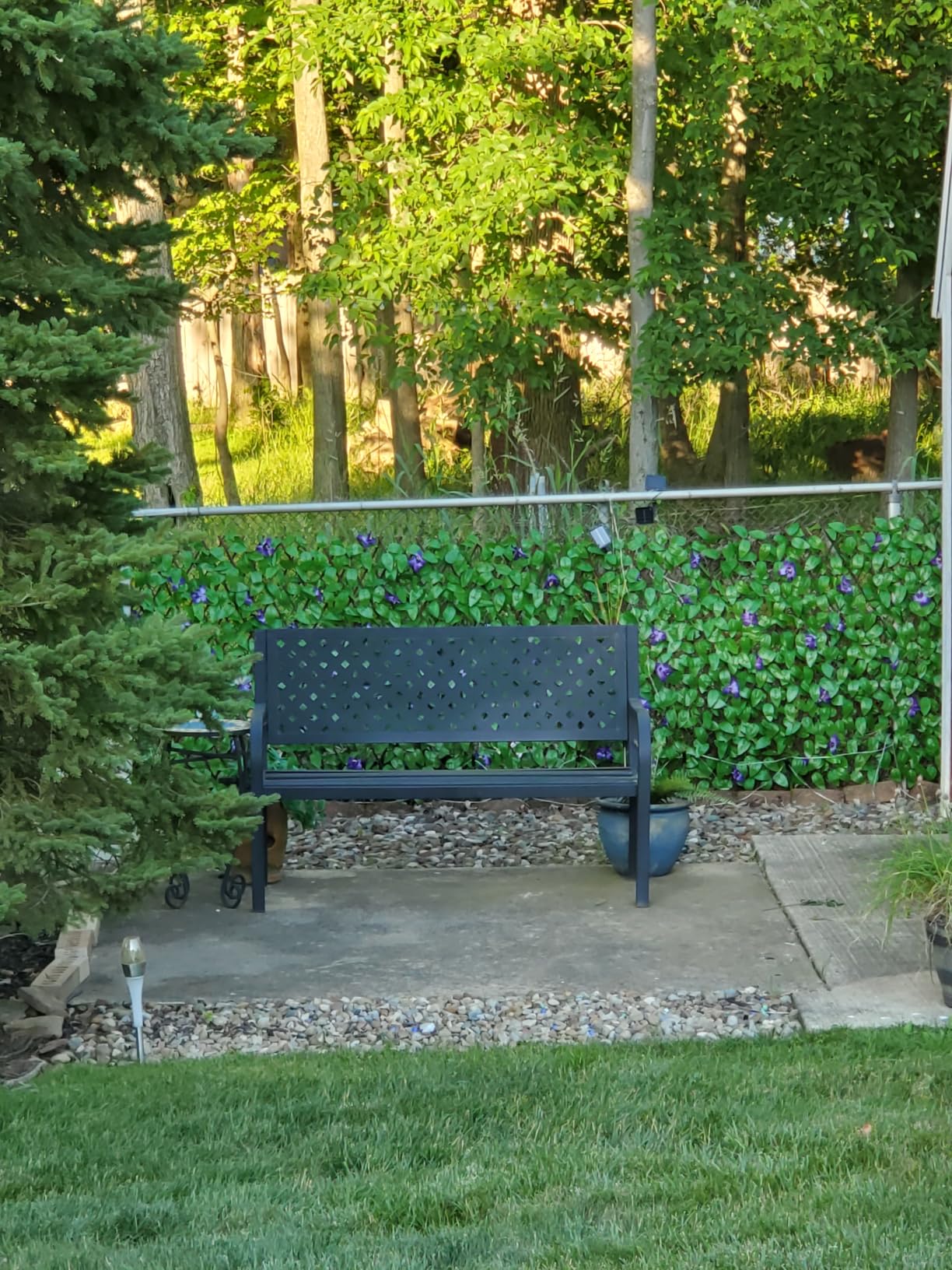 Expandable Fence Privacy Screen for Balcony Patio Outdoor, Decorative Faux Ivy Fencing Panel, Artificial Hedges (Single Sided Leaves) customer photo 2