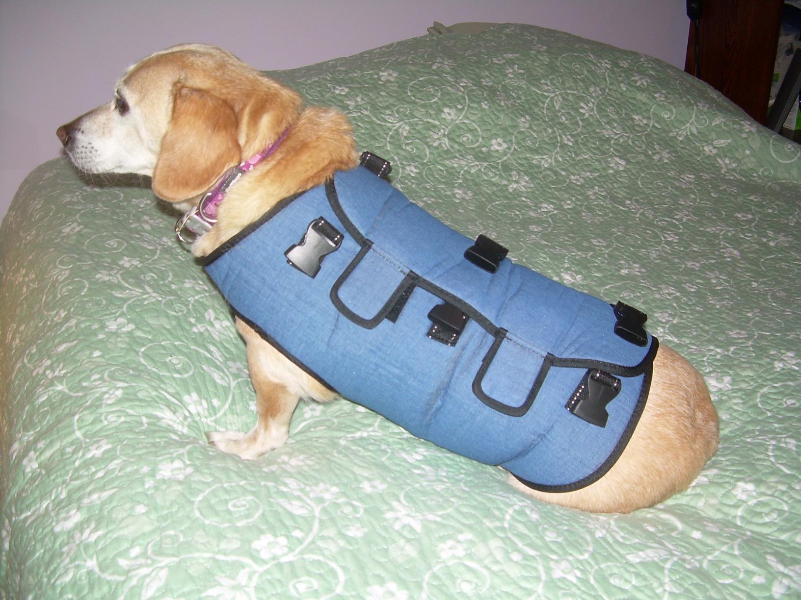Coodeo Dog Lift Harness, Pet Support & Rehabilitation Sling Lift Adjustable Padded Breathable Straps for Old, Disabled, Joint Injuries, Arthritis, Loss of Stability Dogs Walk (Blue, L) customer photo 1