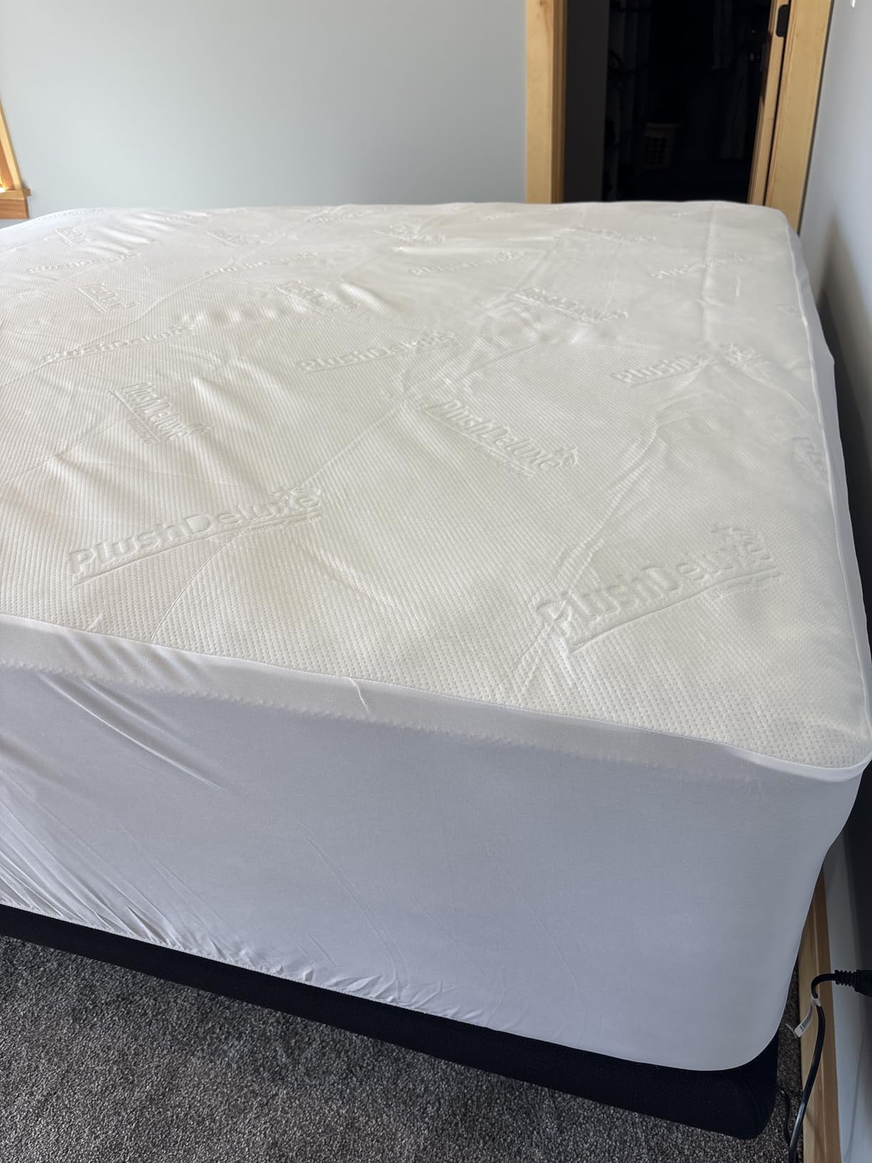 PlushDeluxe Bamboo Waterproof Mattress Protector, Queen Size, Ultra Soft | Breathable, Noiseless, Hypoallergenic, Washable, 60x80