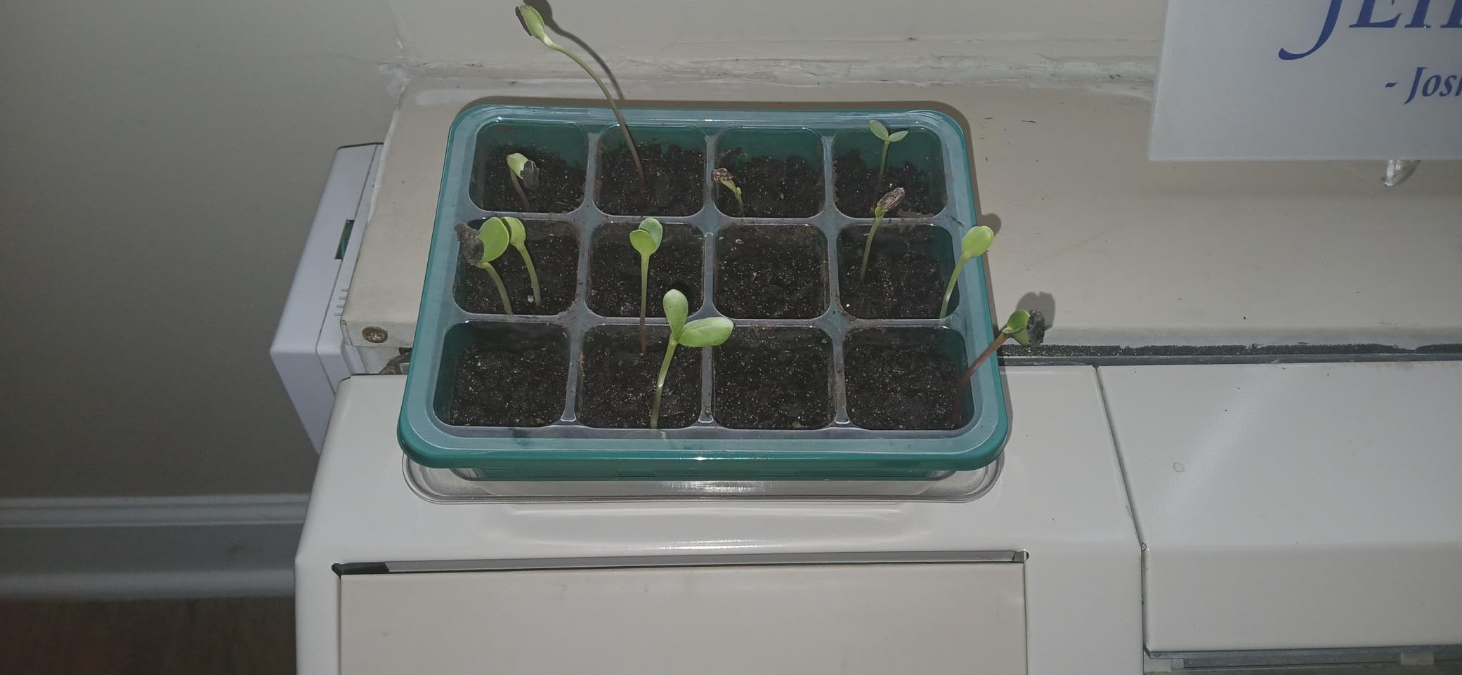 MIXC 10 Pack Seed Starter Tray, 120 Cell Starter Kit with Humidity Dome Green | Reusable Clear Plant Germination Tray with Drainage Hole/Adjustable Vent, Seedling Propagation Tray for Seed Growing Starting customer photo 1