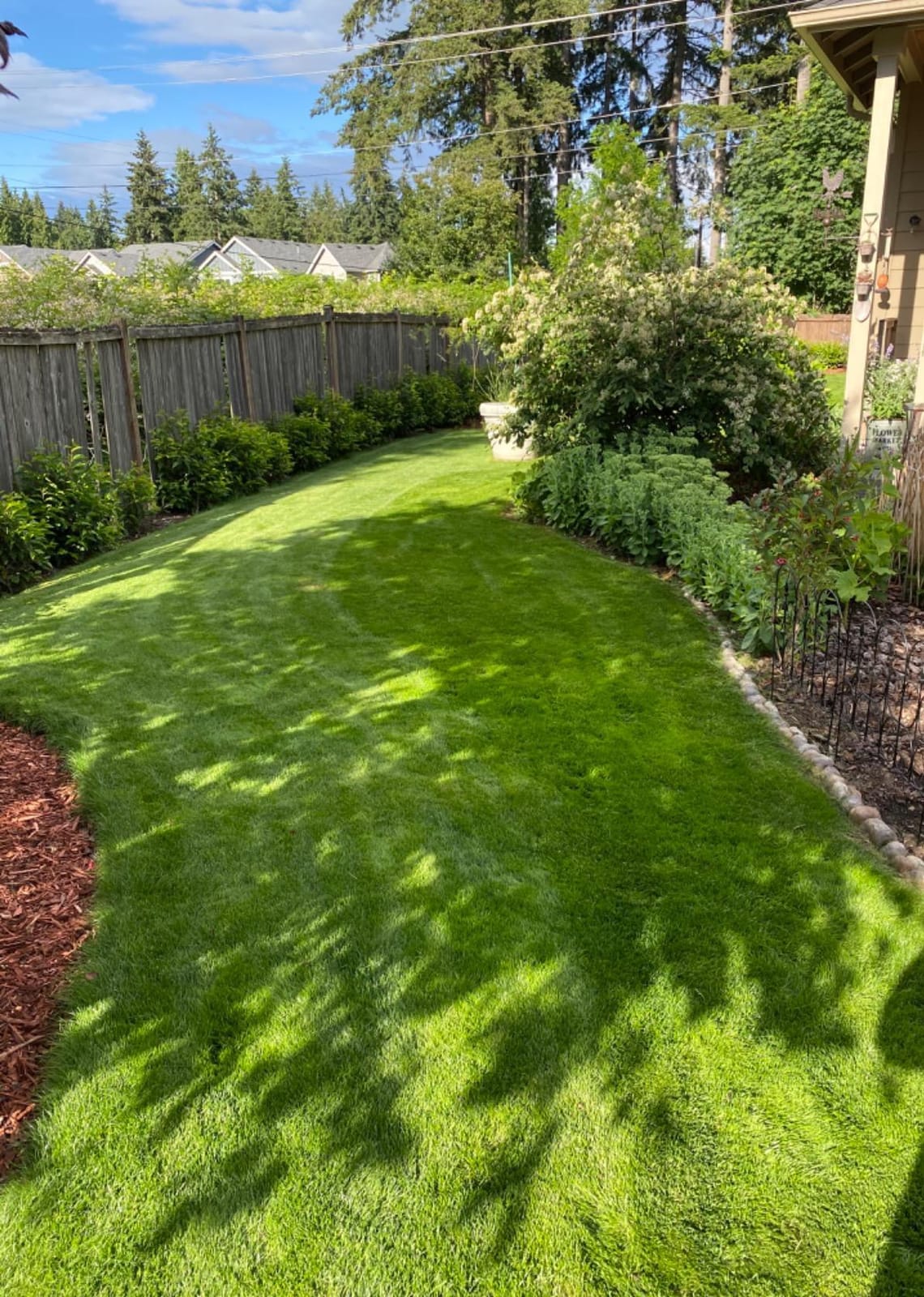 Liquid Lawn Aerator, Loosens and Conditions Compacted Soil, 32oz customer photo 1