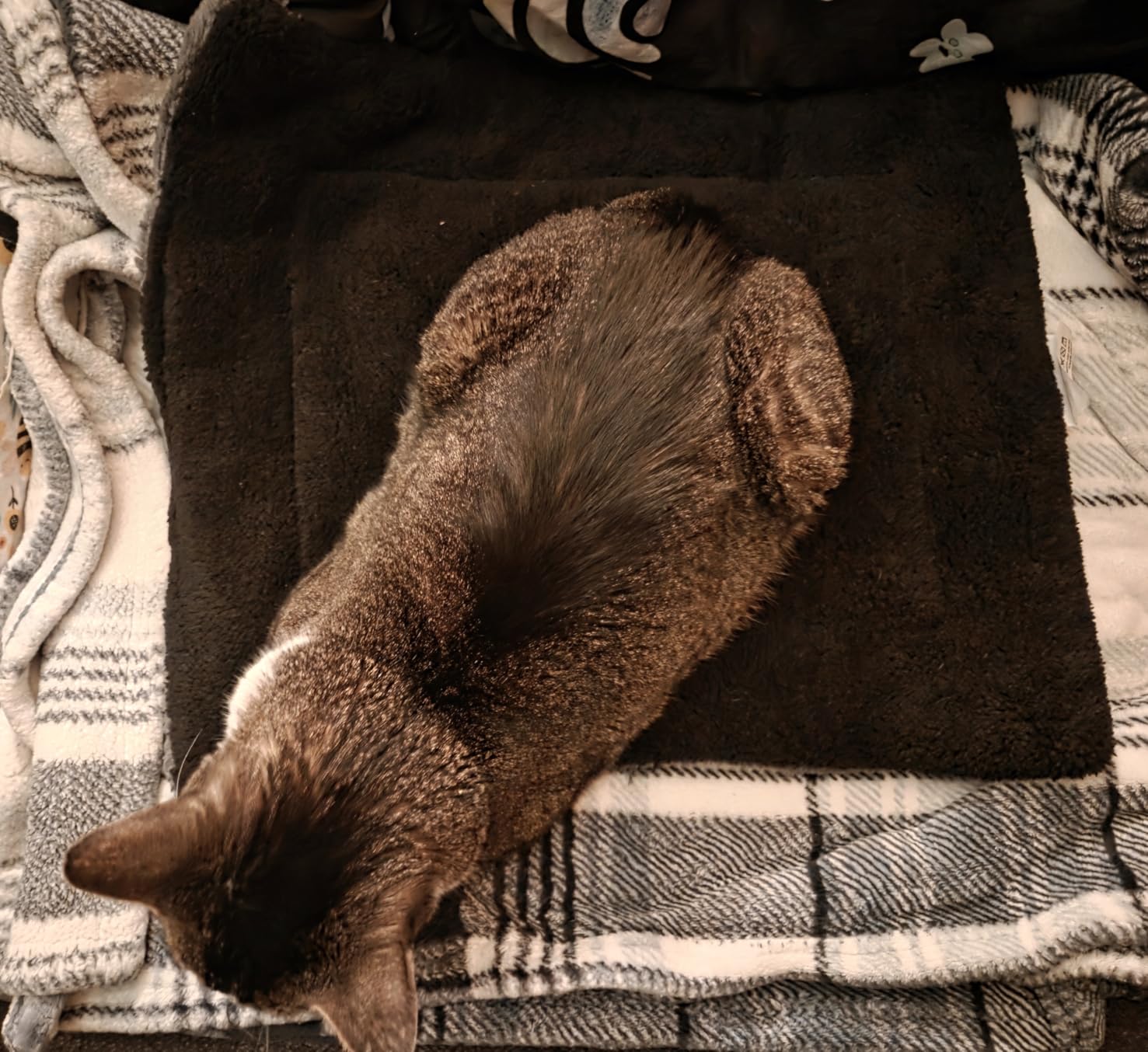 K&H Self-Warming Cat Bed Pad, Self Heating Pad, Small 21 X 17 Gray/Black | Heating pad for cats comfort, cat self warming pad, reversible plush, warming mat for cats, machine washable customer photo 2