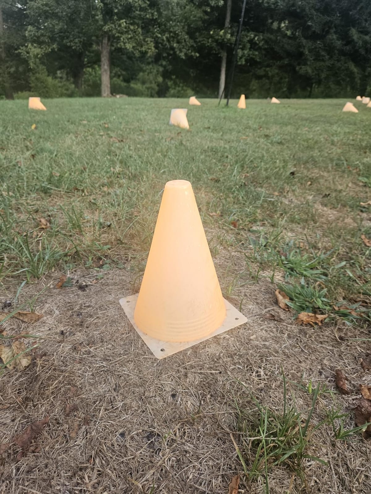 Mirepty 7 Inch Plastic Traffic Cones Sport Training Agility Marker Cone customer photo 1