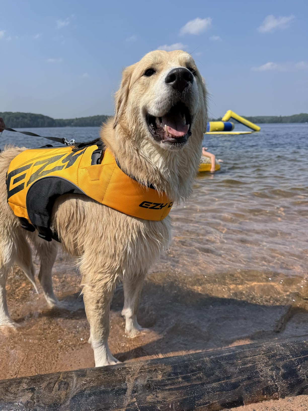 EzyDog DFD X2 Dog Life Jacket, Grab Handle, Reflective Trim - Medium Yellow | Adjustable Dog Life Vest For Swimming, Durable Nylon Outer, Secure Fit, Lightweight, Ultra Buoyant Foam customer photo 2