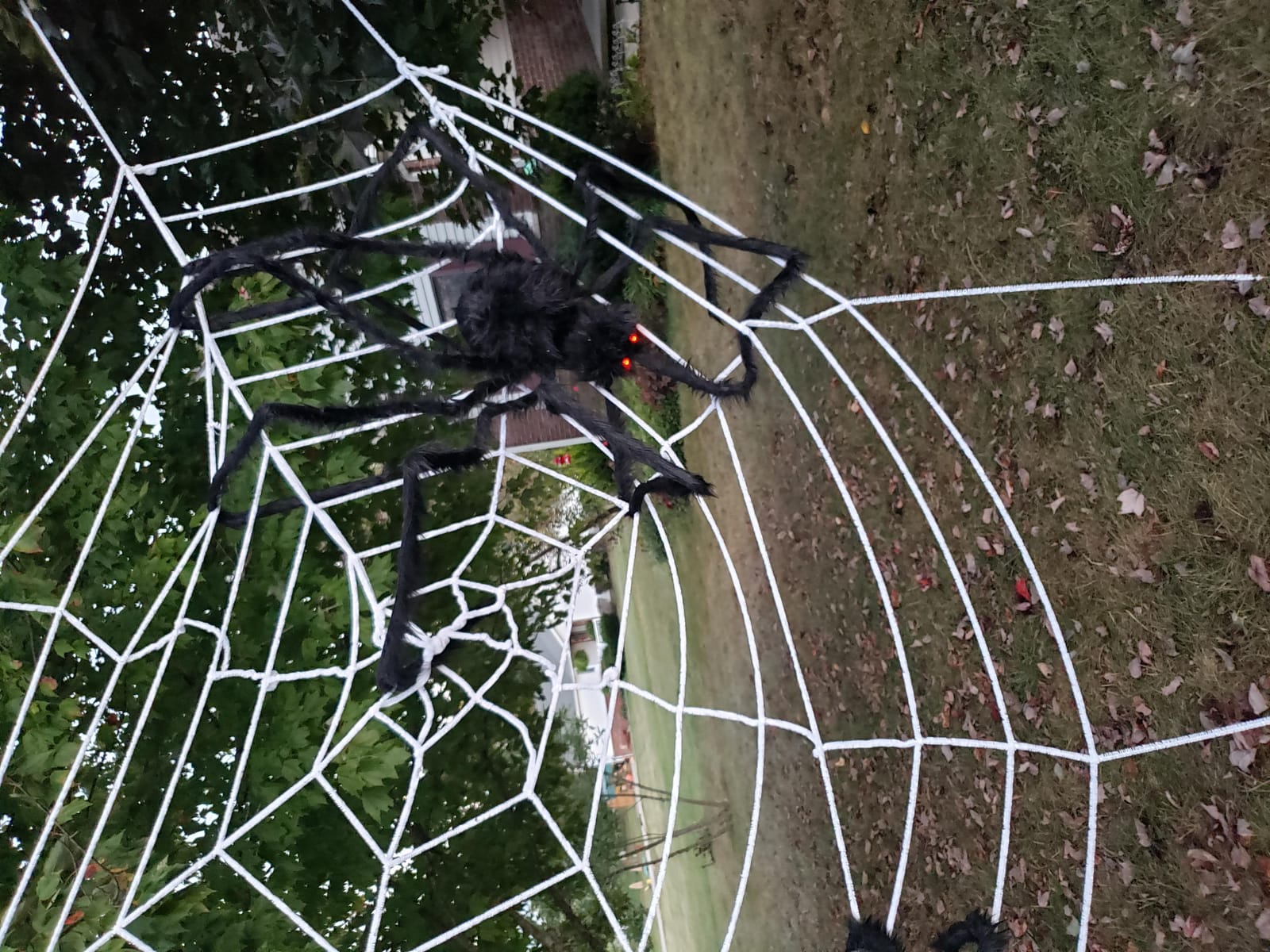 JOYIN 6.5ft Halloween Spider Outdoor Decorations, Light-up LED Eyes Scary Giant Fake Large Hairy Spider Props for Halloween Yard Lawn Decoration, Indoor Party Supplies and Outside Decor, Black customer photo 2