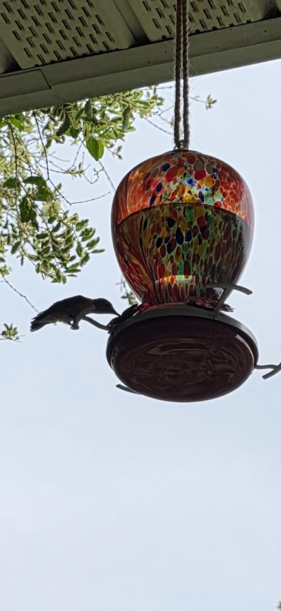 WOSIBO Hummingbird Feeder for Outdoors Patio Large 32 Ounces Colorful Hand Blown Glass Hummingbird Feeder with Ant Moat Hanging Hook, Rope, Brush and Service Card (RED-Firework) customer photo 2