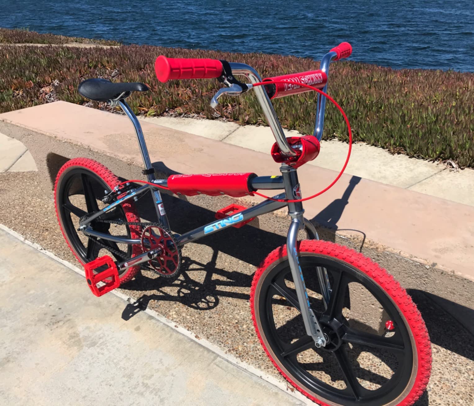 Schwinn Sting Pro and Predator Team BMX Bike for Kids/Youth, Retro Design, Single-Speed, Hi-Ten Steel Frame, 20 or 24-Inch Wheels, Multiple Colors customer photo 2